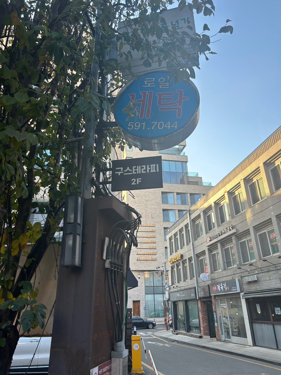 구스테라피스토리 photo 4