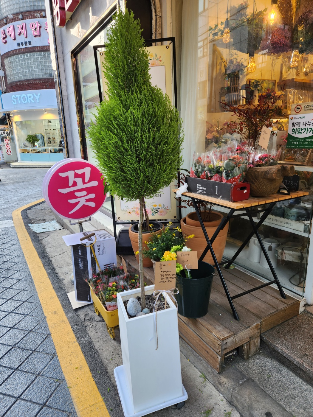 그날,그꽃