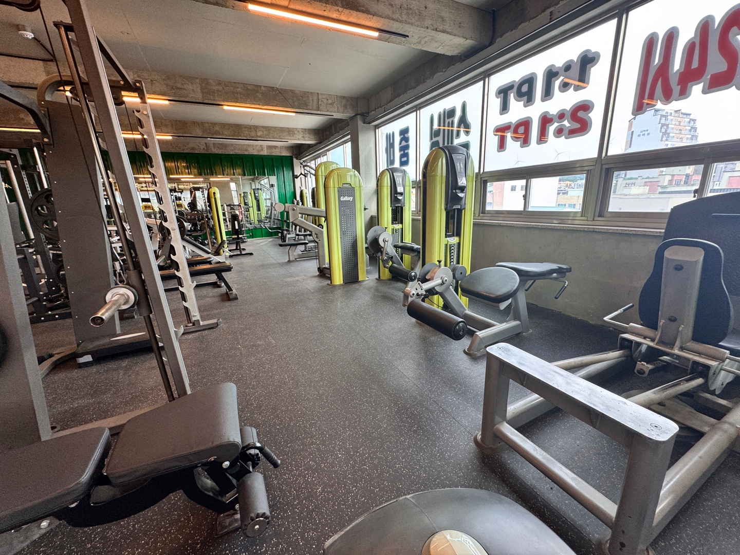 정글 피트니스 대표 이미지