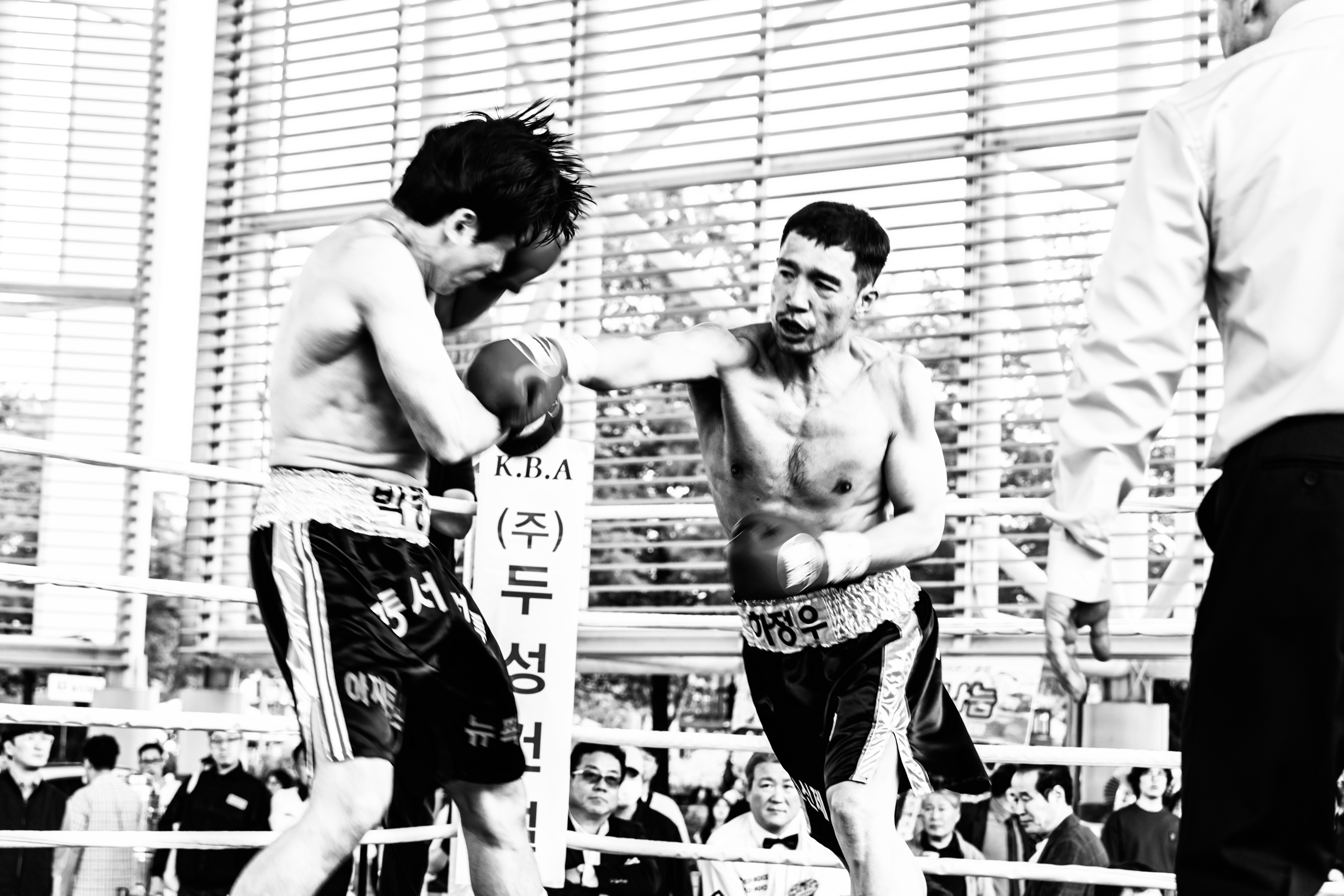 경기도 시흥시 도일로135번길 복싱체육관 강해GYM 내부 모습 5