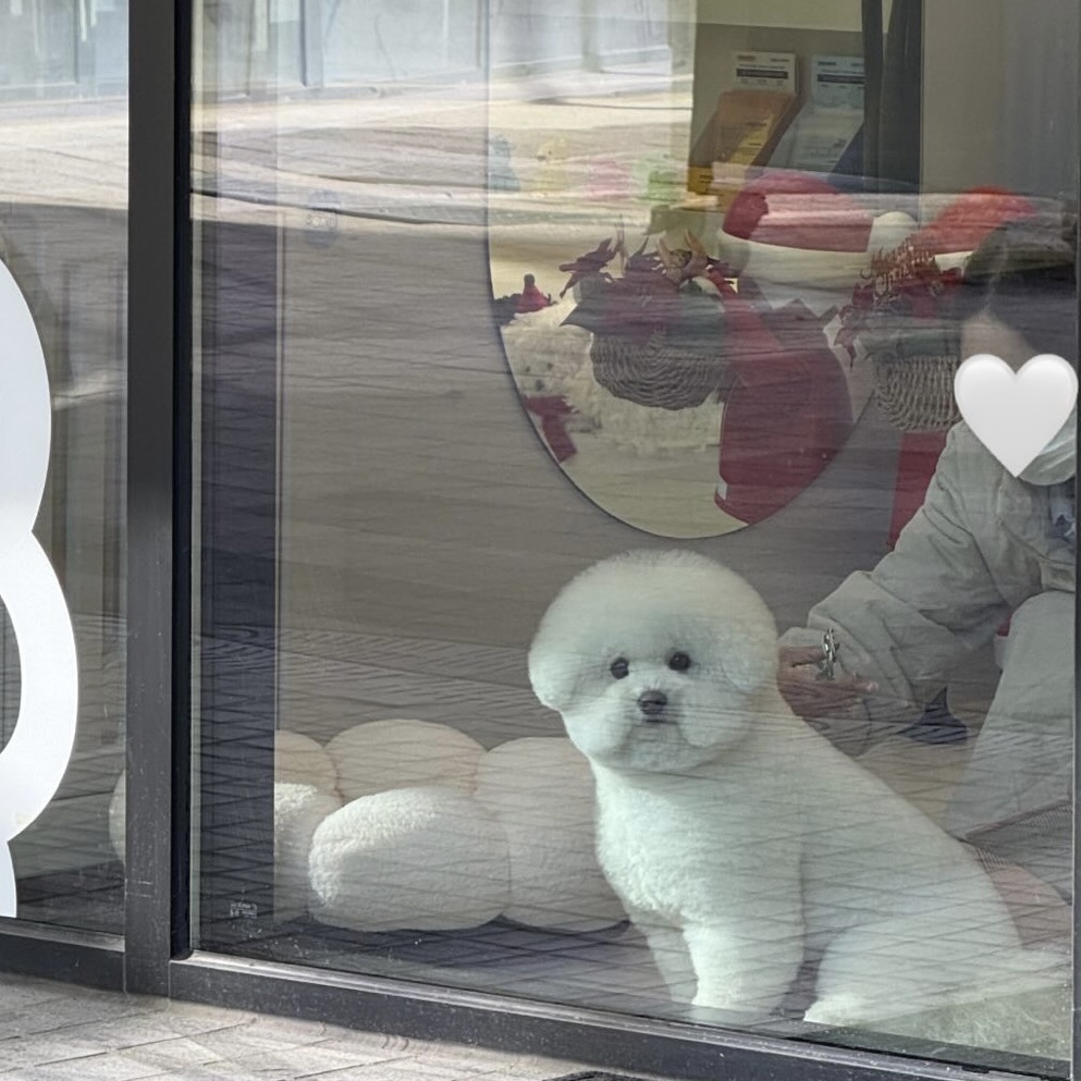 솜소밍 대표 이미지