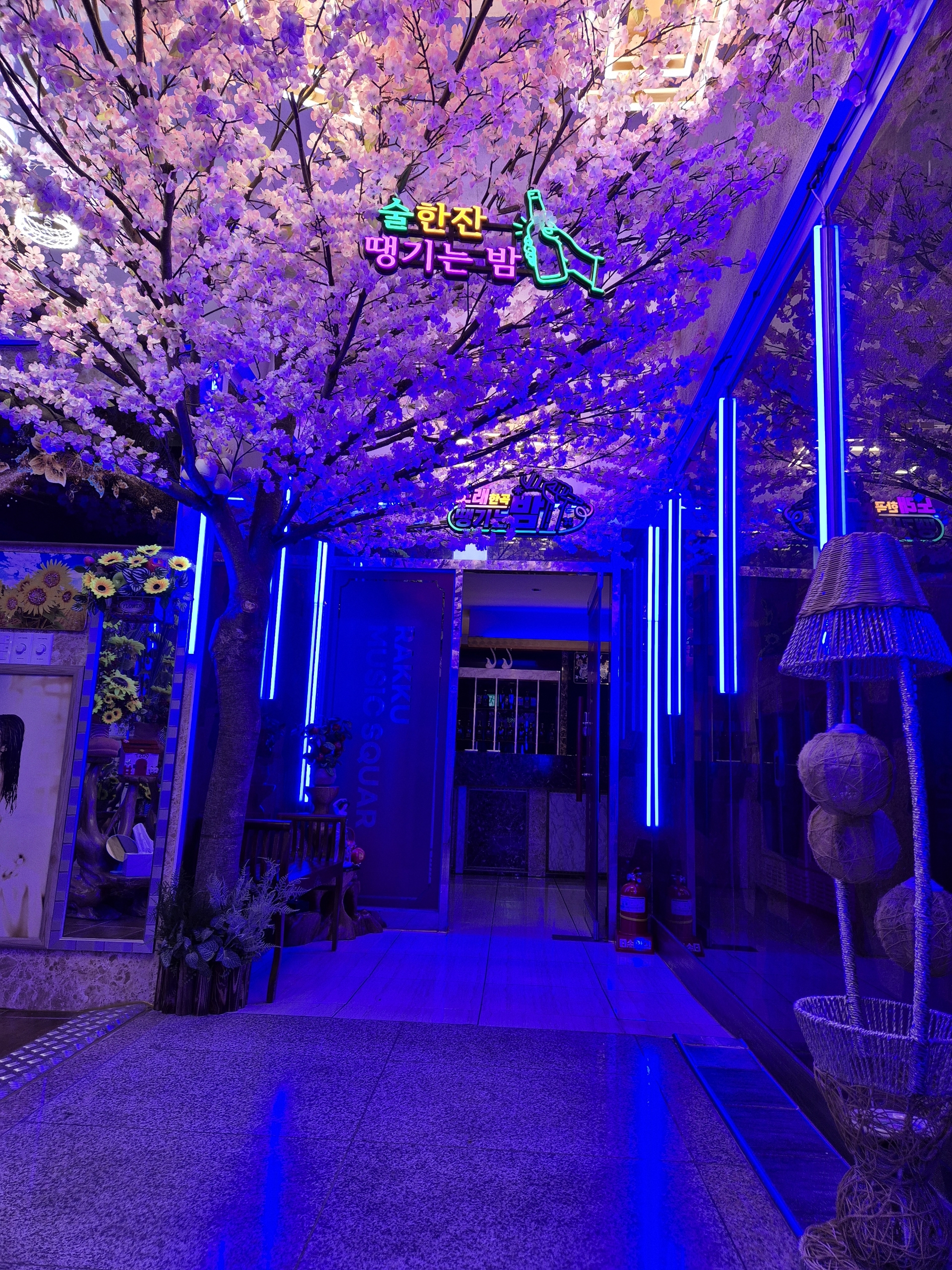 라꾸노래타운