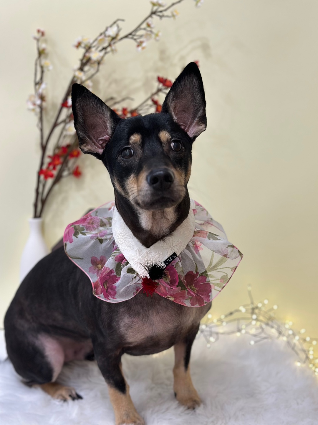 안녕, 뭉실 대표 이미지