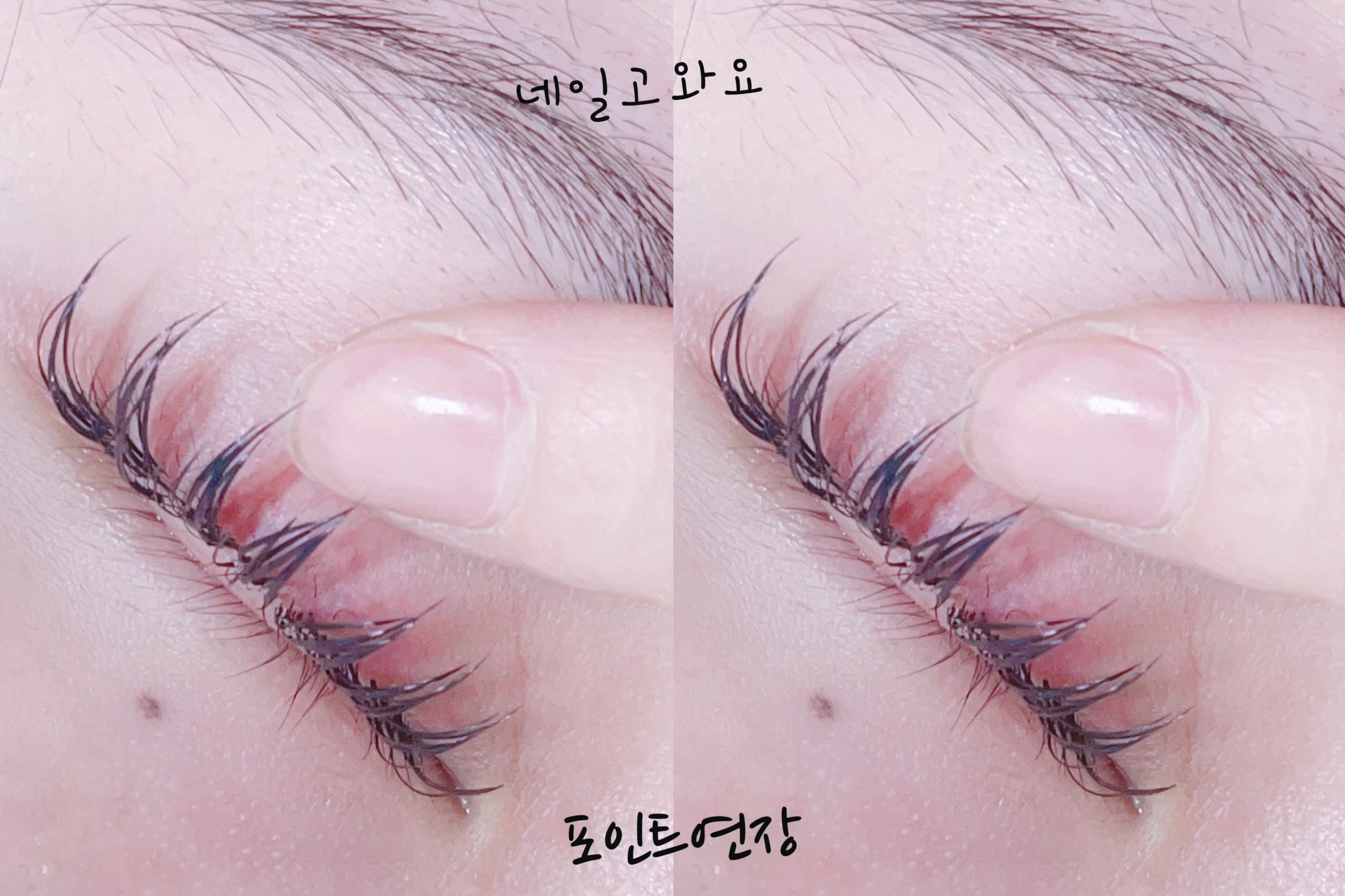 네일고와요