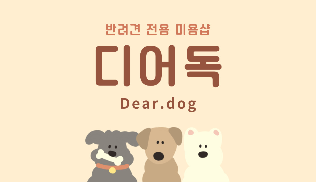 디어독 반려동물 동반 애견카페