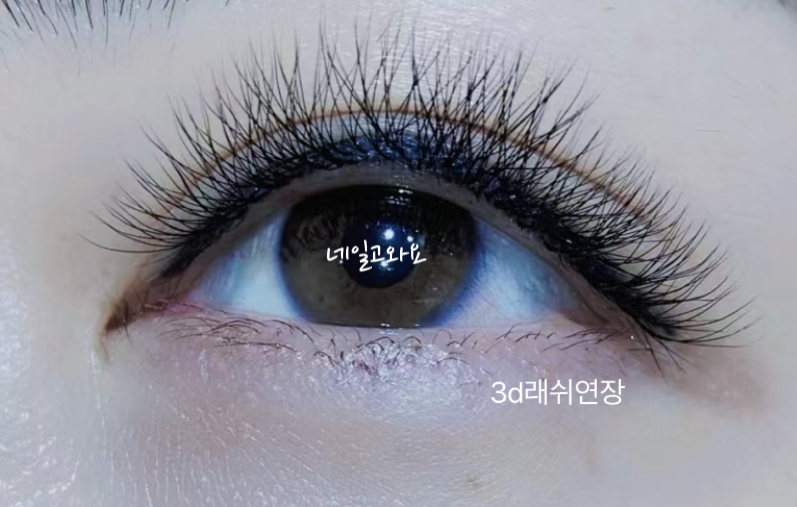 네일고와요
