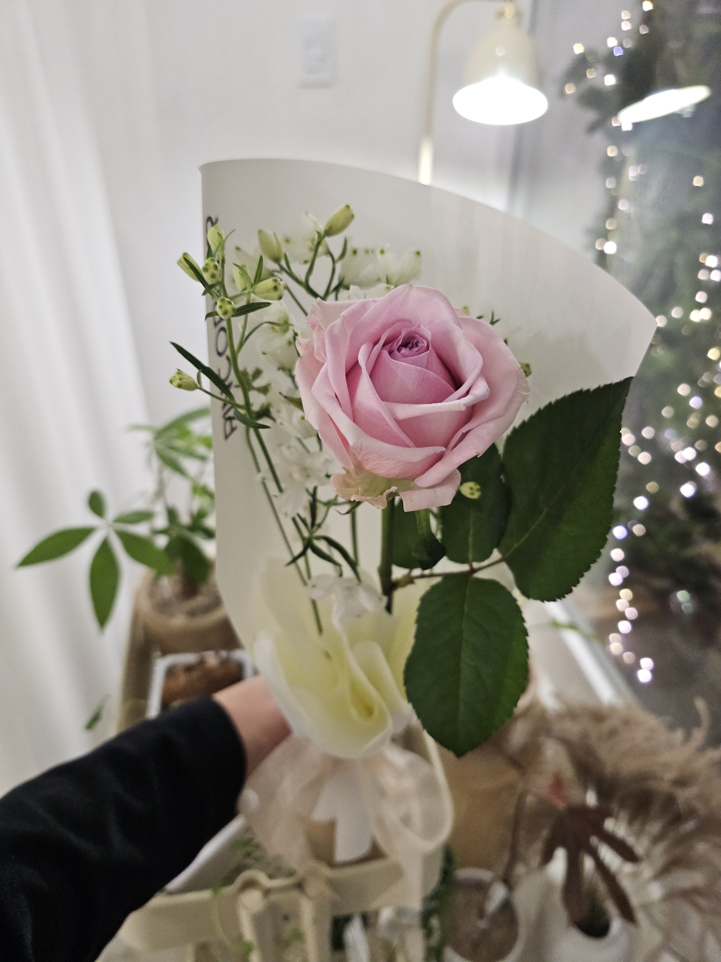 핀코너