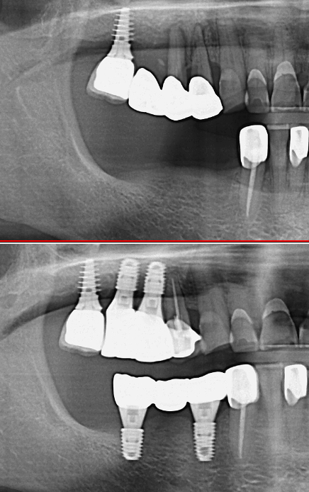 은행나무치과의원 대표 이미지