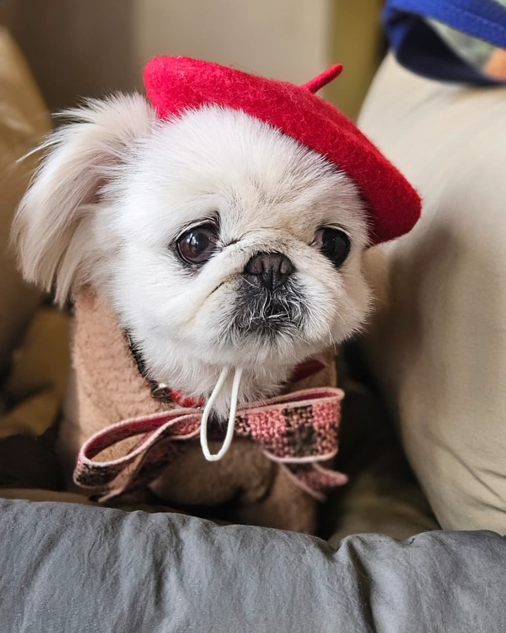 사진 3