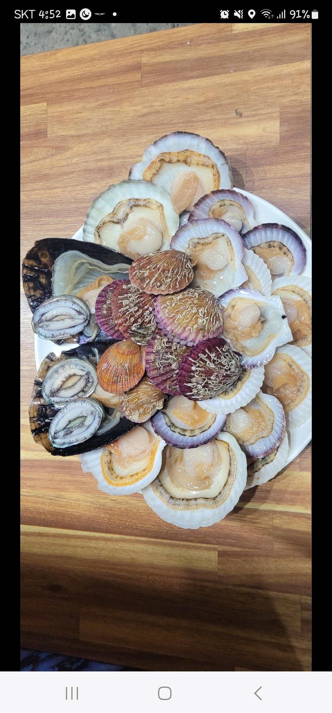 이판사판 조개판