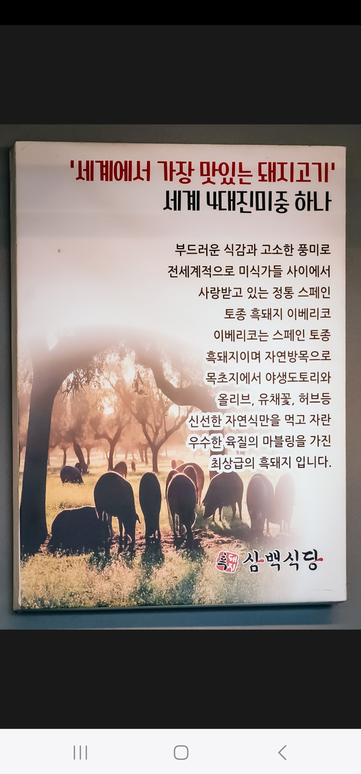 흑돼지삼백식당 원주본점