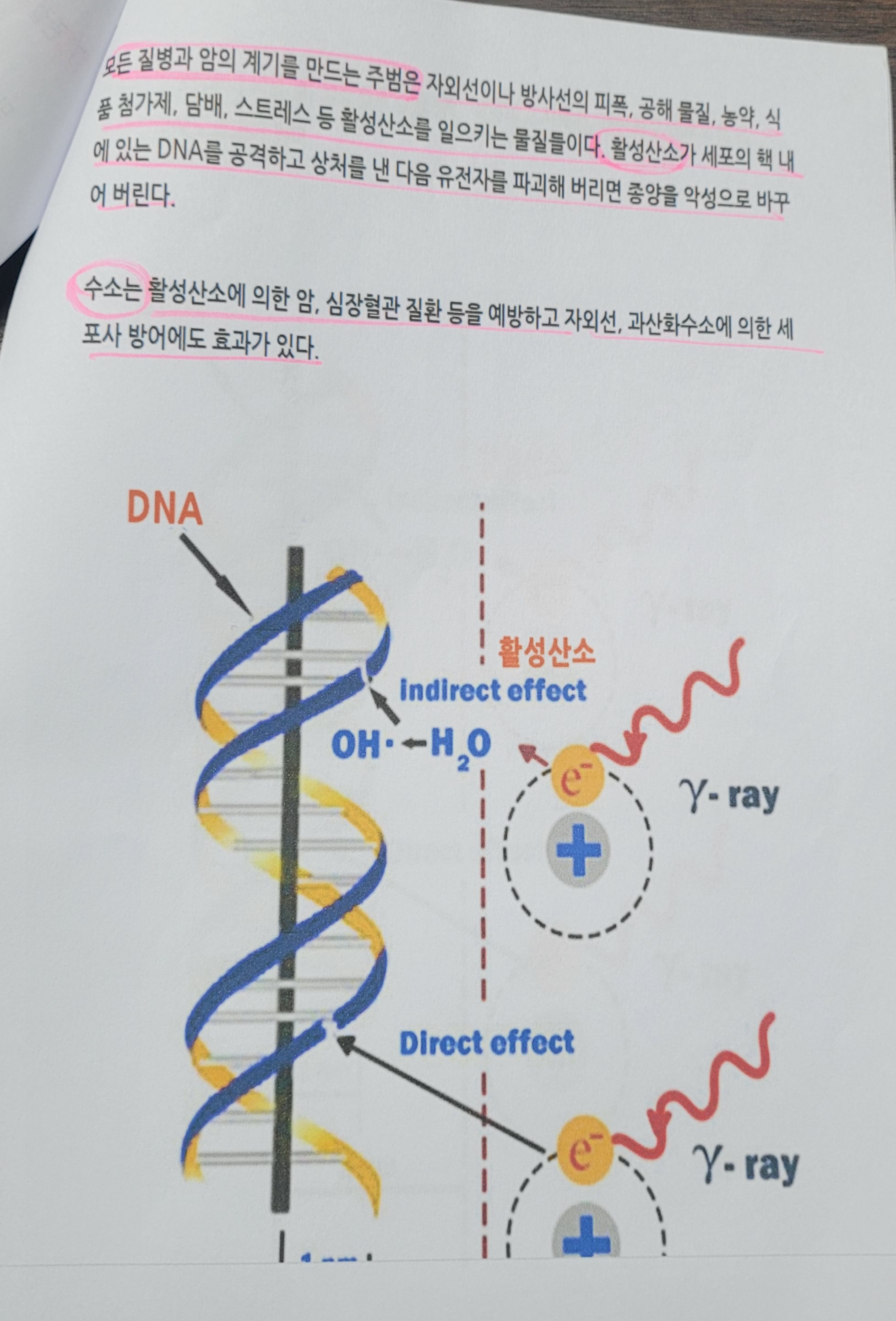 아로마라이프 포항남구점