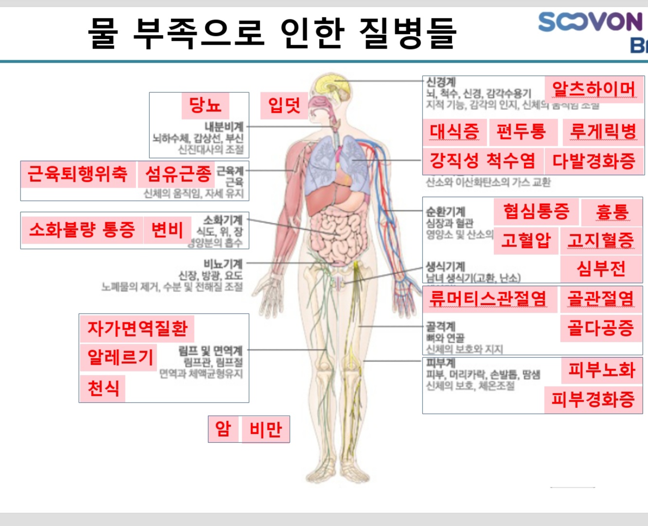 아로마라이프 포항남구점