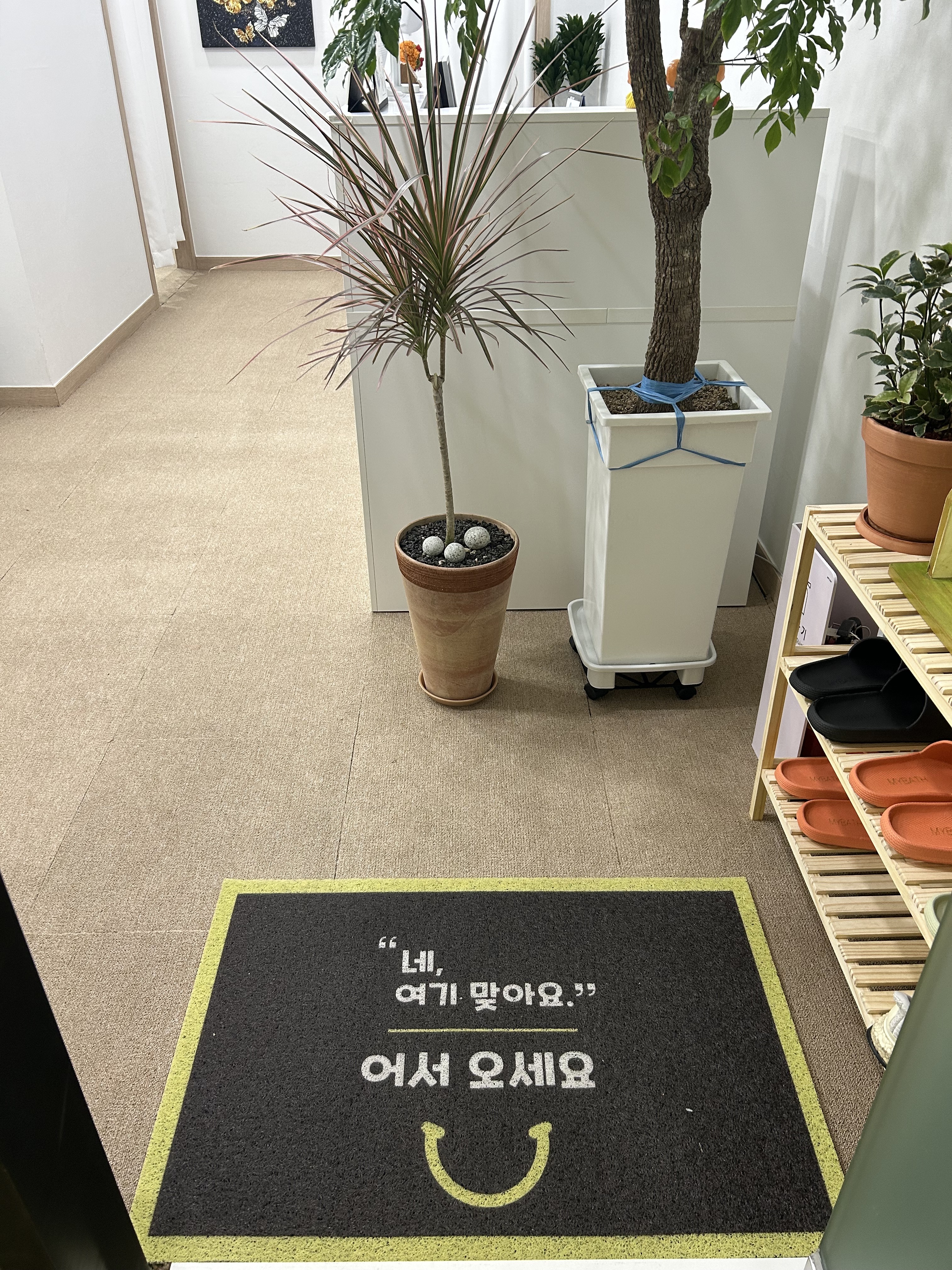 이웰테라피 photo 2