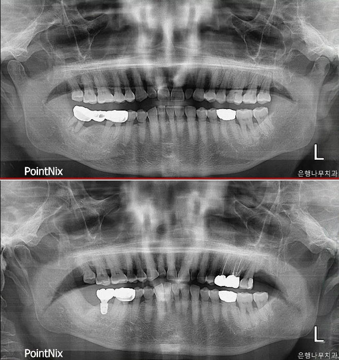 은행나무치과의원 대표 이미지