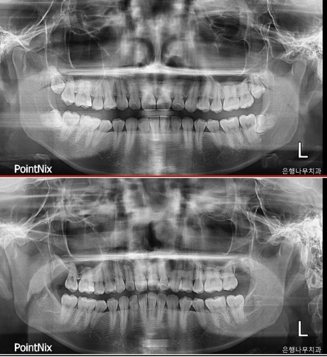 은행나무치과의원 대표 이미지