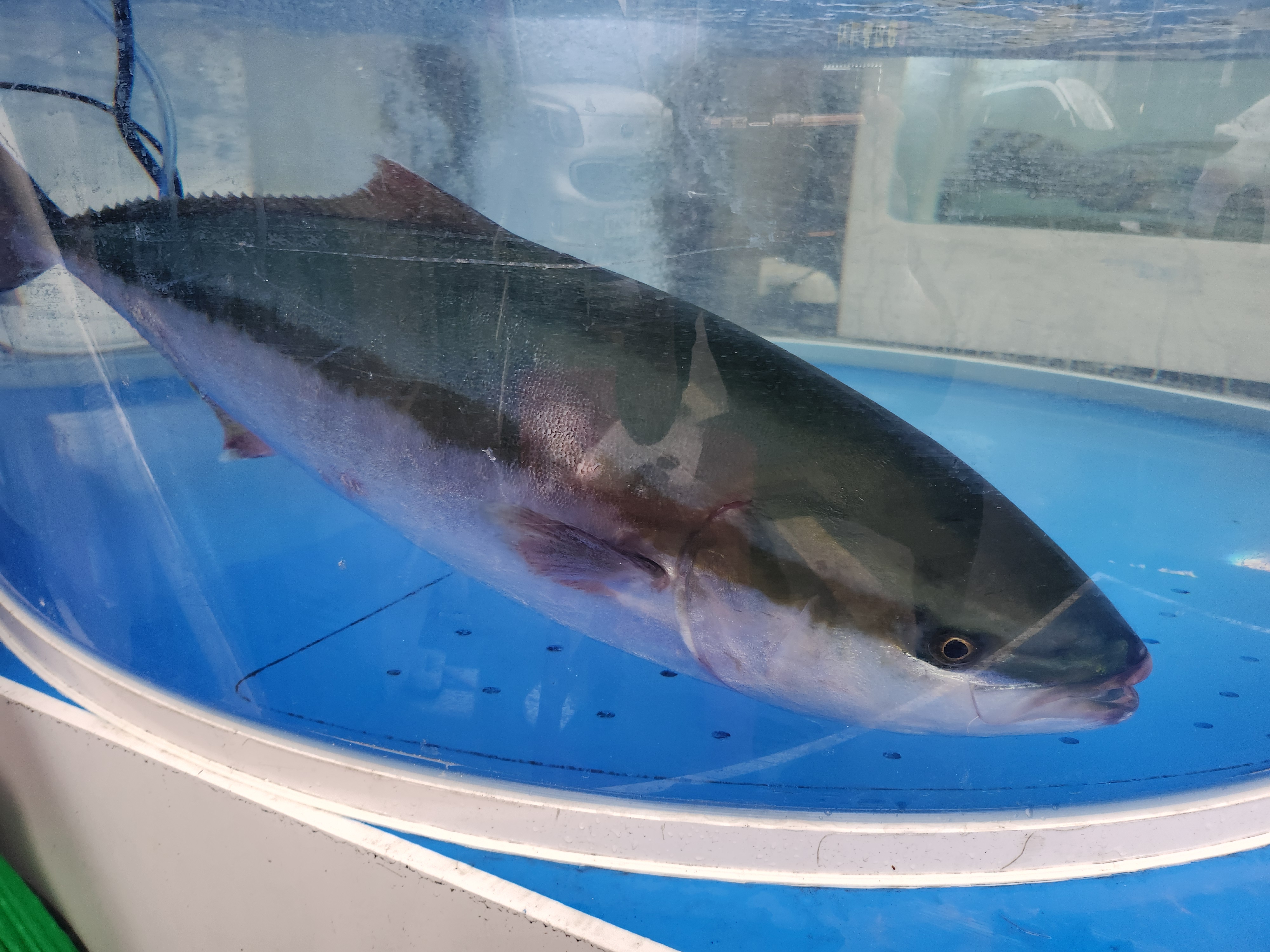 직거래회수산