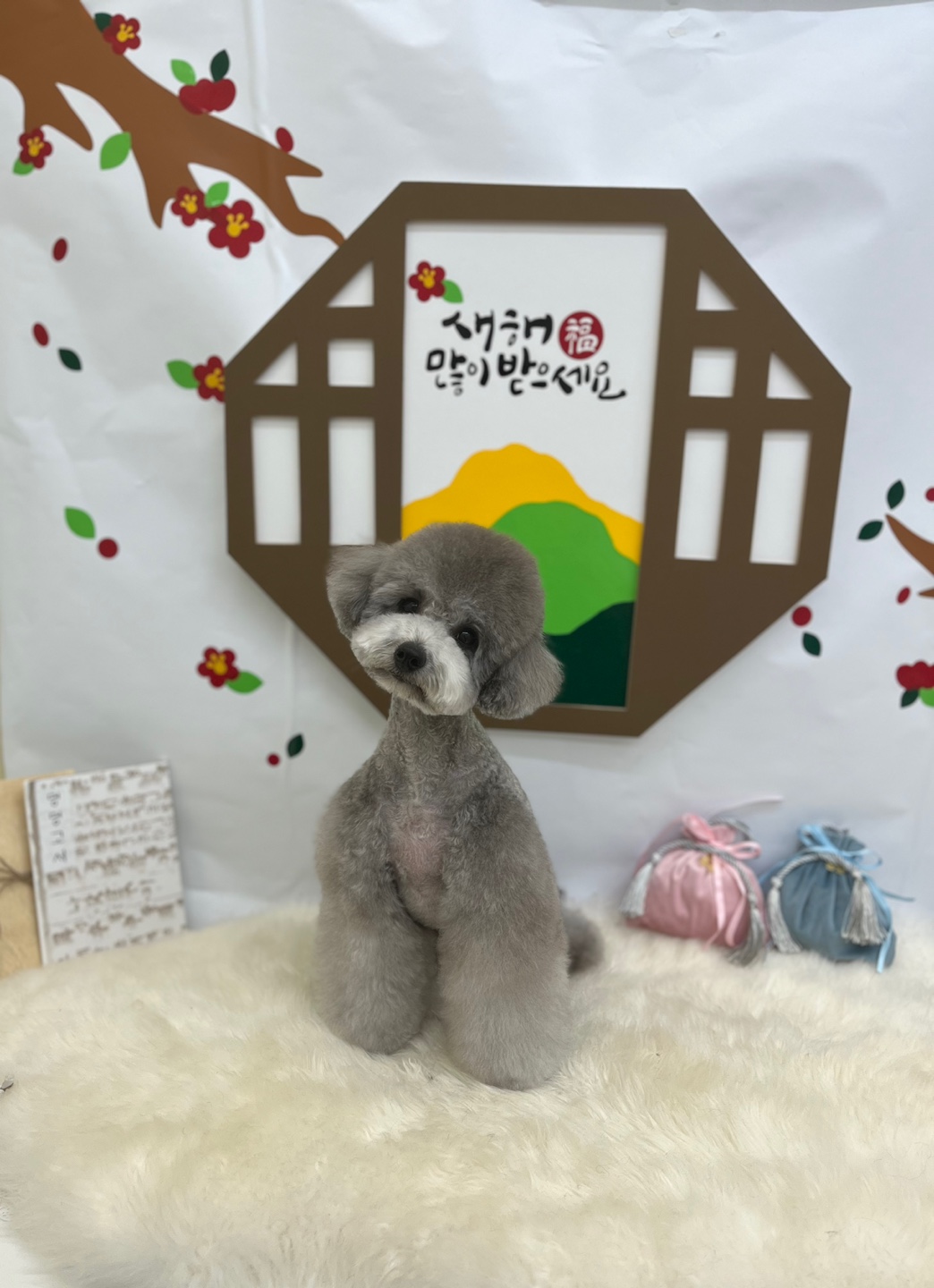너에개 반하개 대표 이미지
