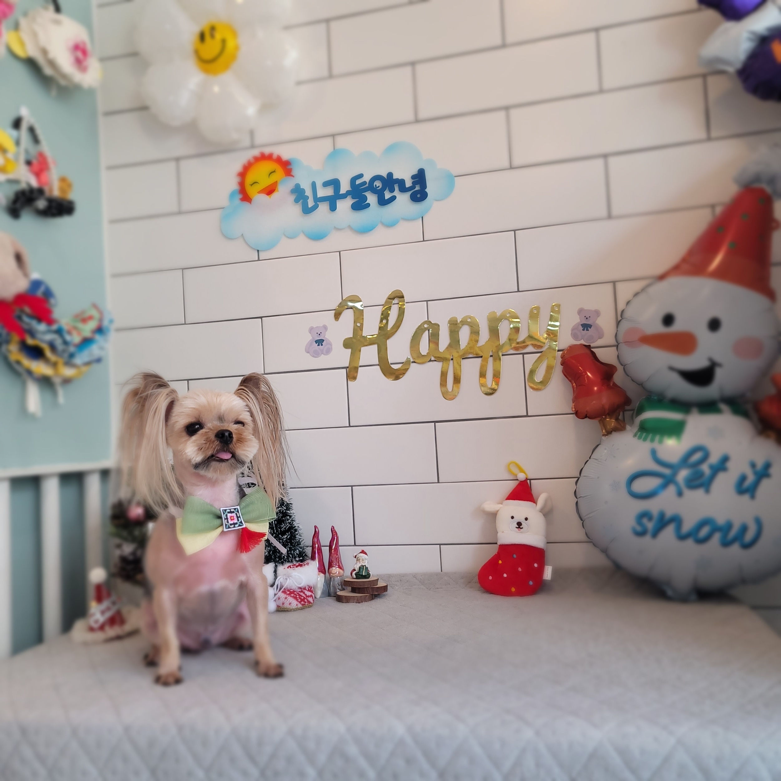 도그샵 대표 이미지