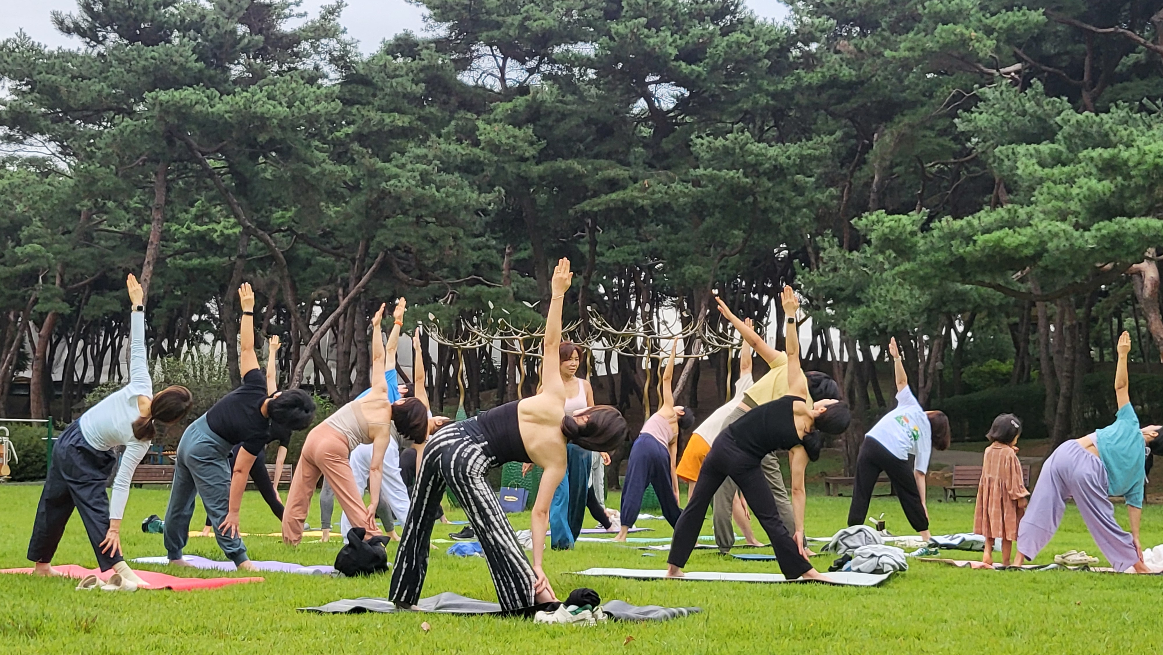 요가그루 대표 이미지