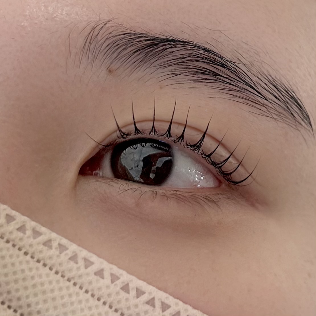 크라운뷰티 대표 이미지