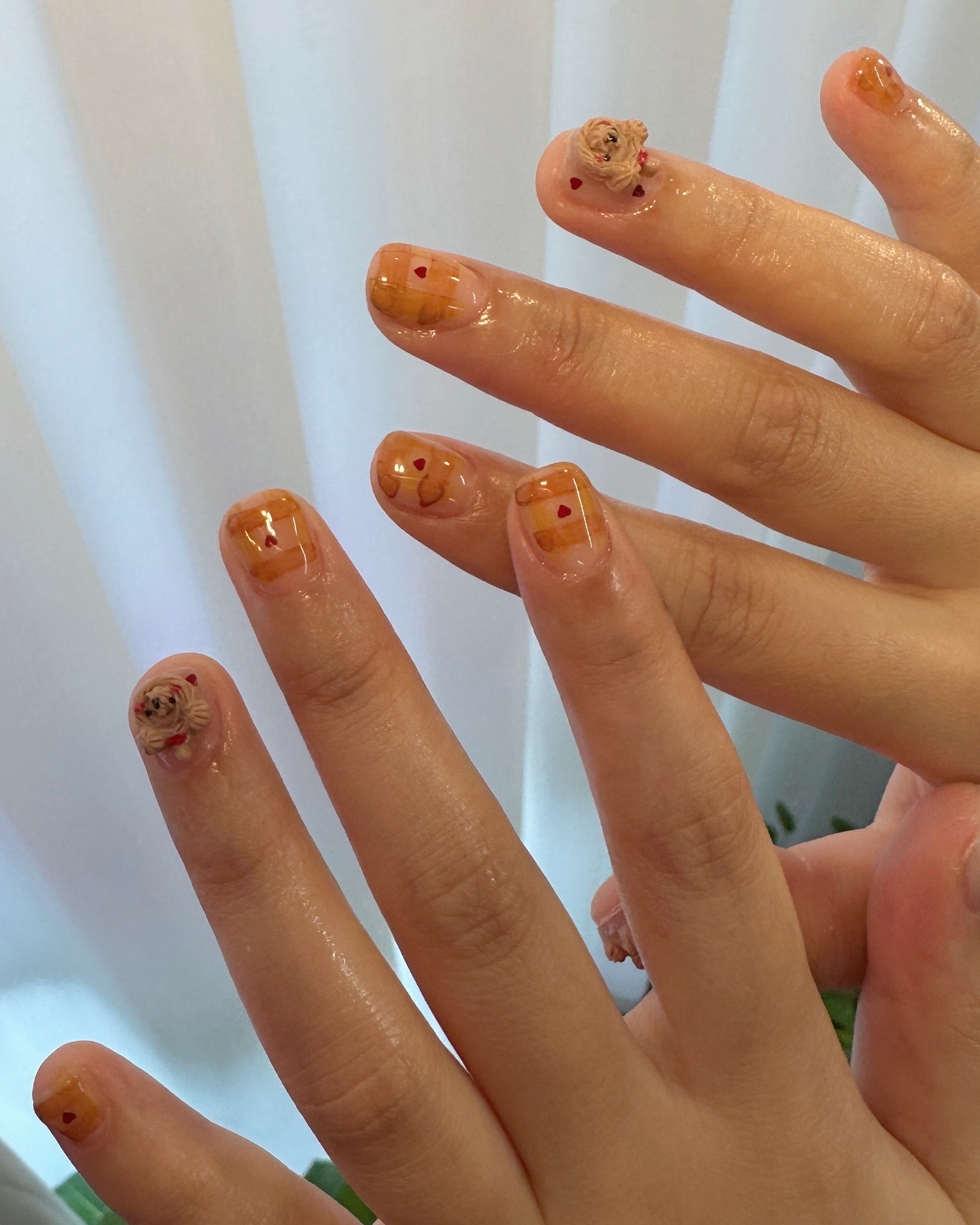 뽀블리 대표 이미지