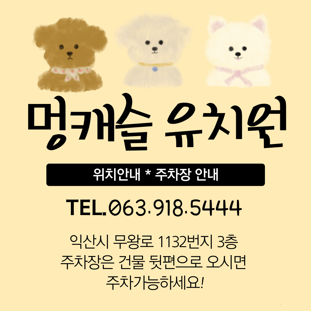 멍캐슬 대표 이미지