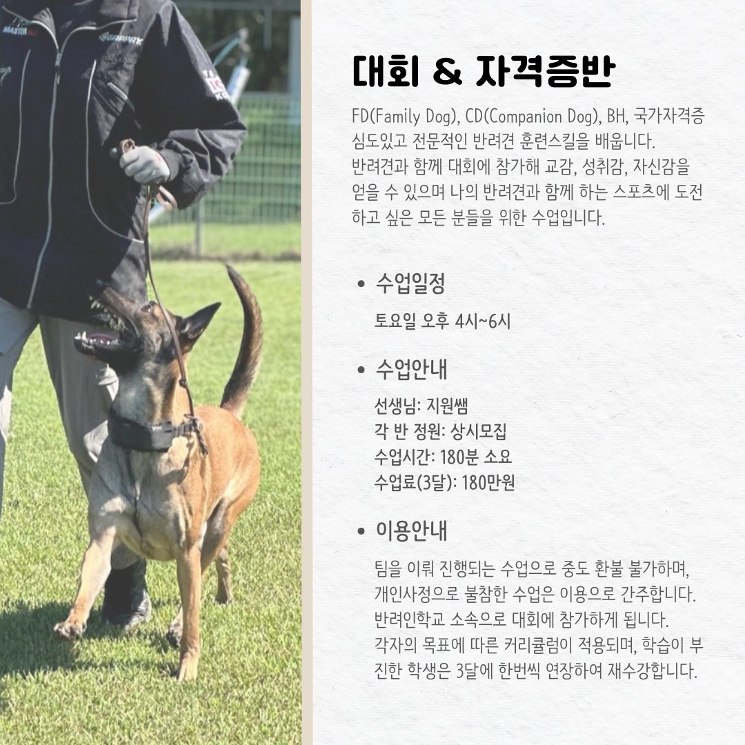 반려인학교