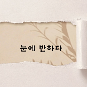 눈에반하다