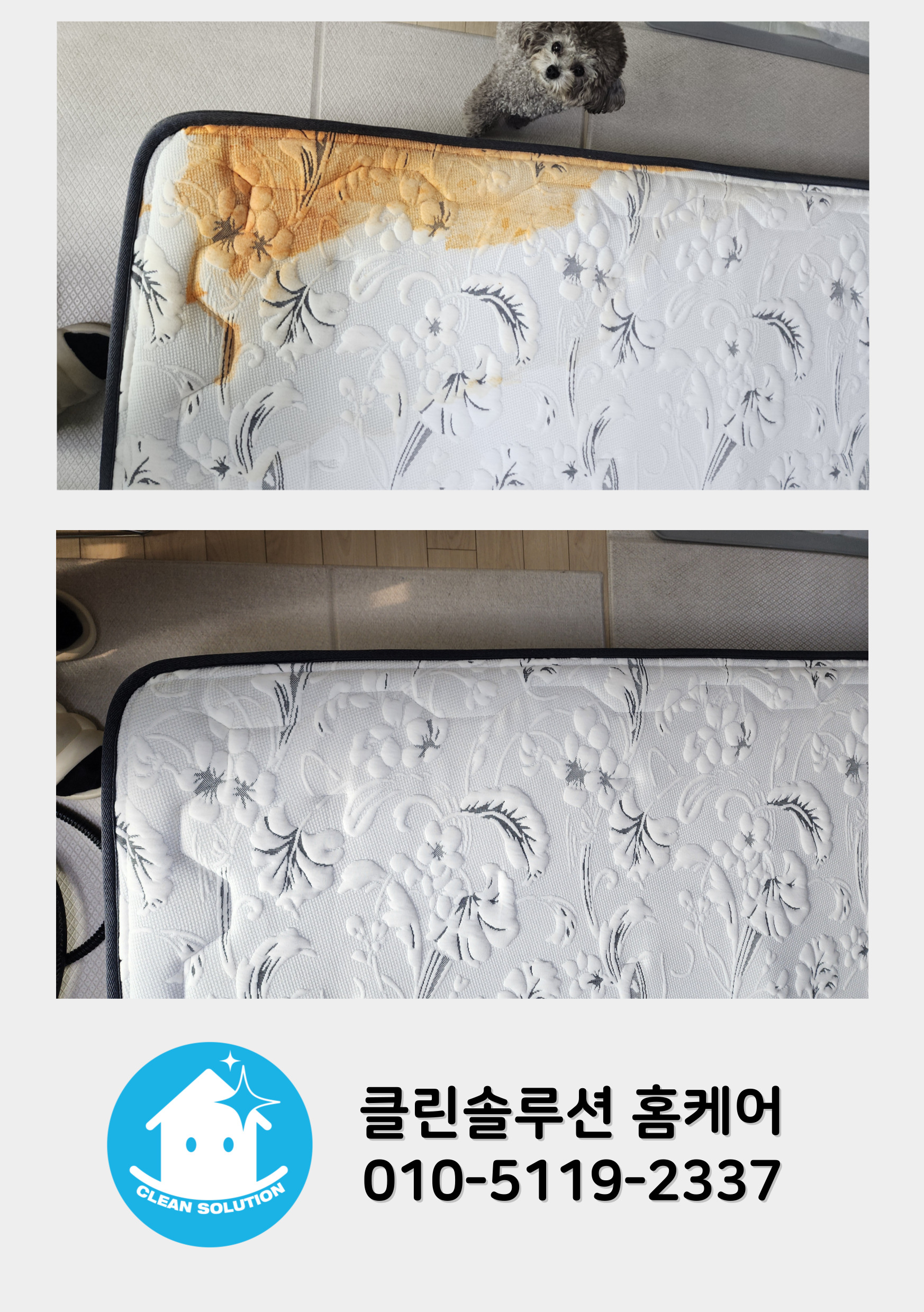 대구 매트리스청소 소파청소 클린솔루션 홈케어