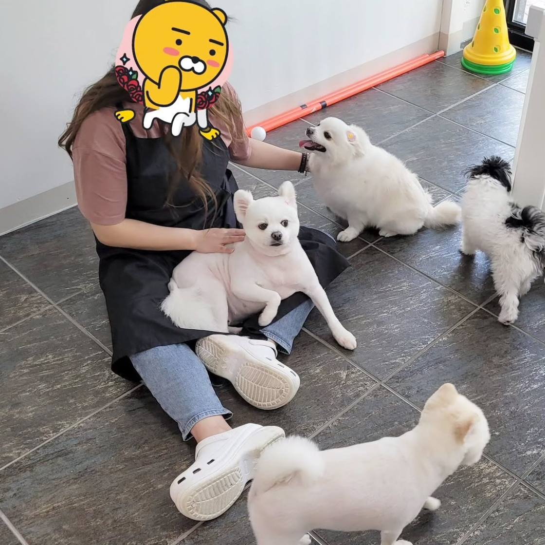 뽀송뽀송 대표 이미지