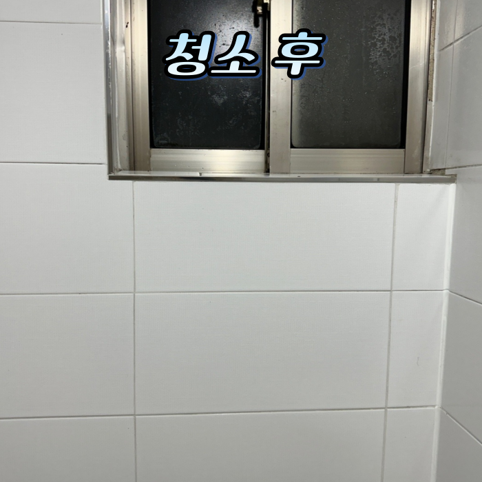 입주청소