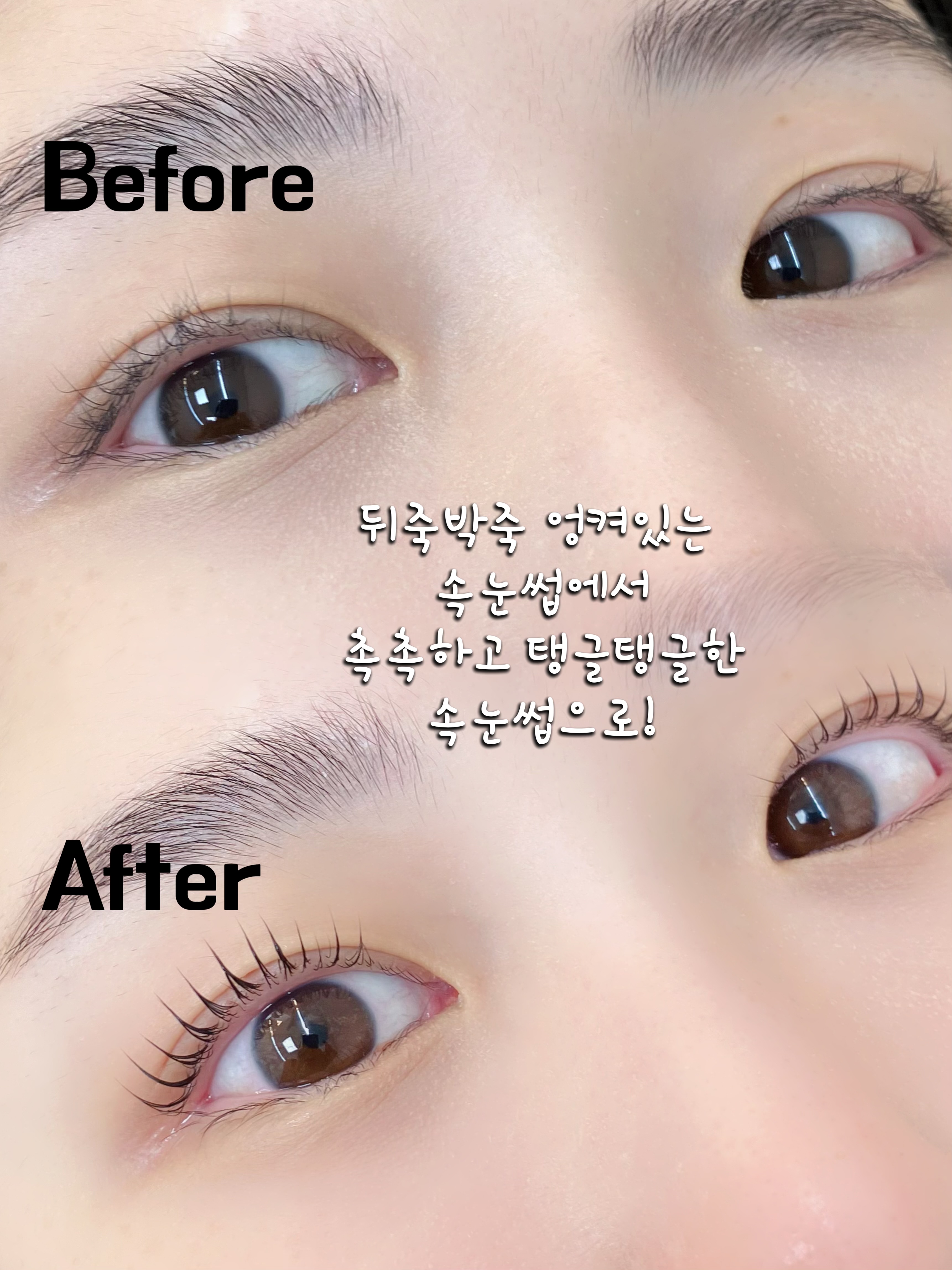 몽드뷰티 대표 이미지