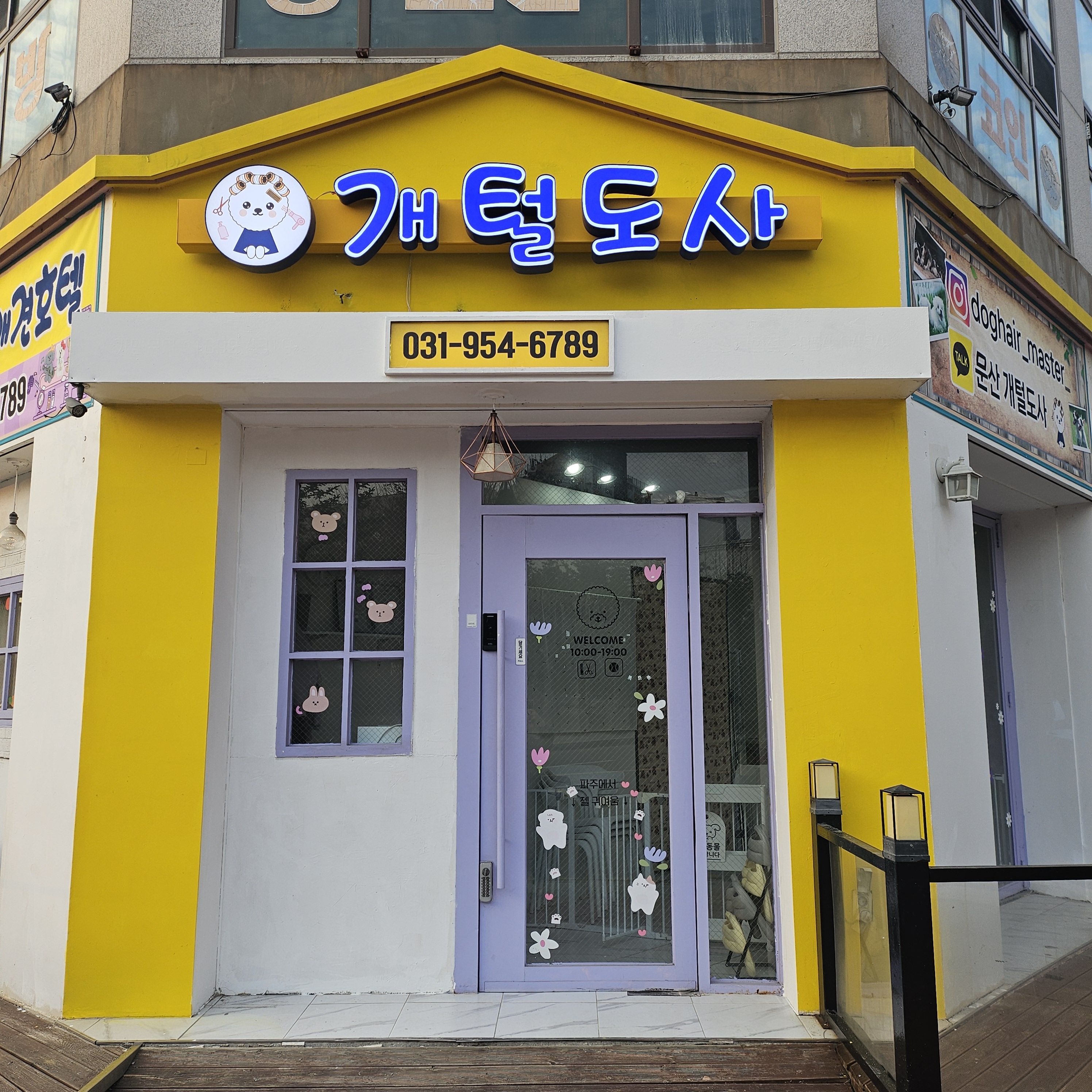 개털도사 대표 이미지
