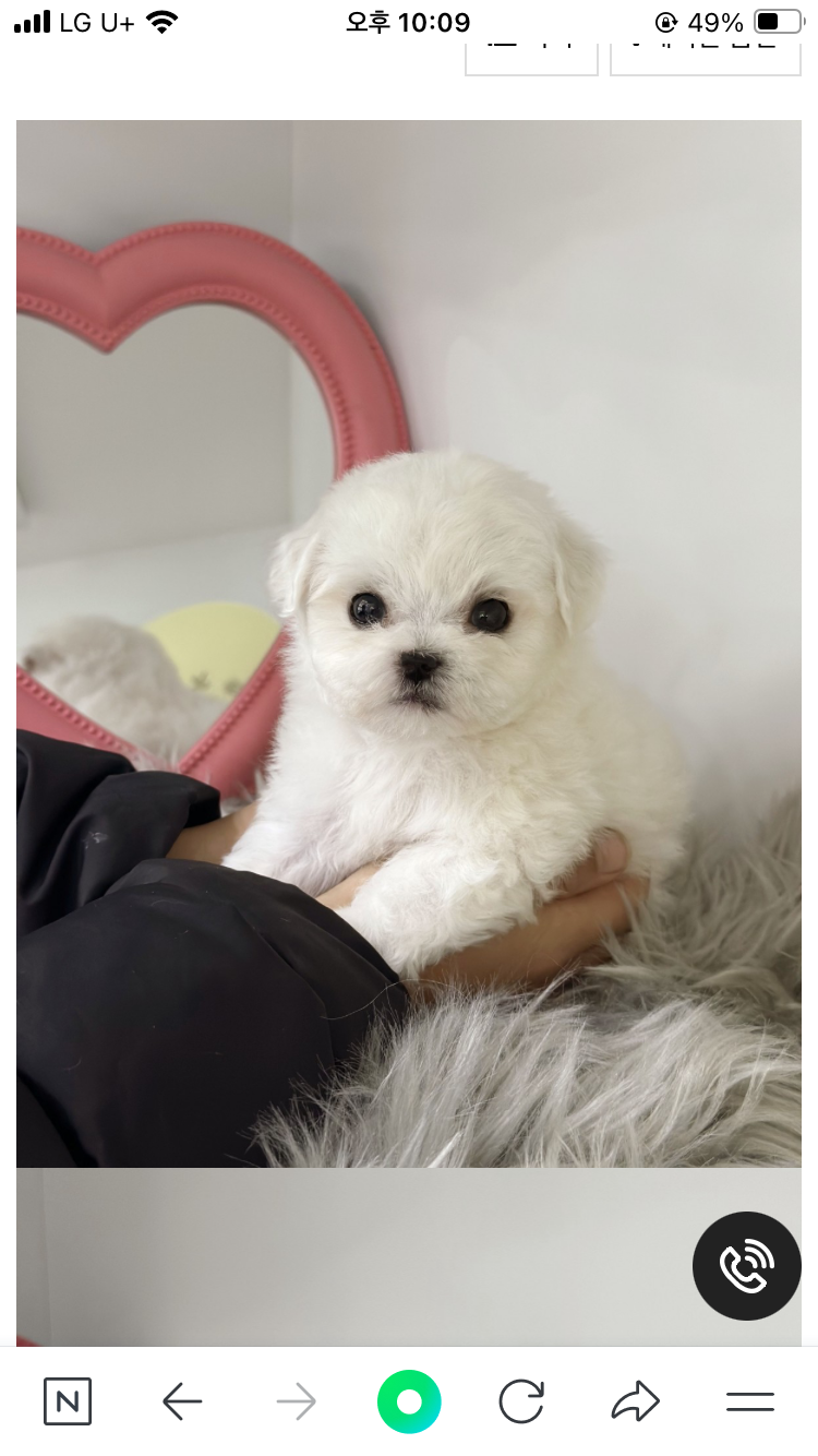 더펫 거제본점 경상 애견숙소