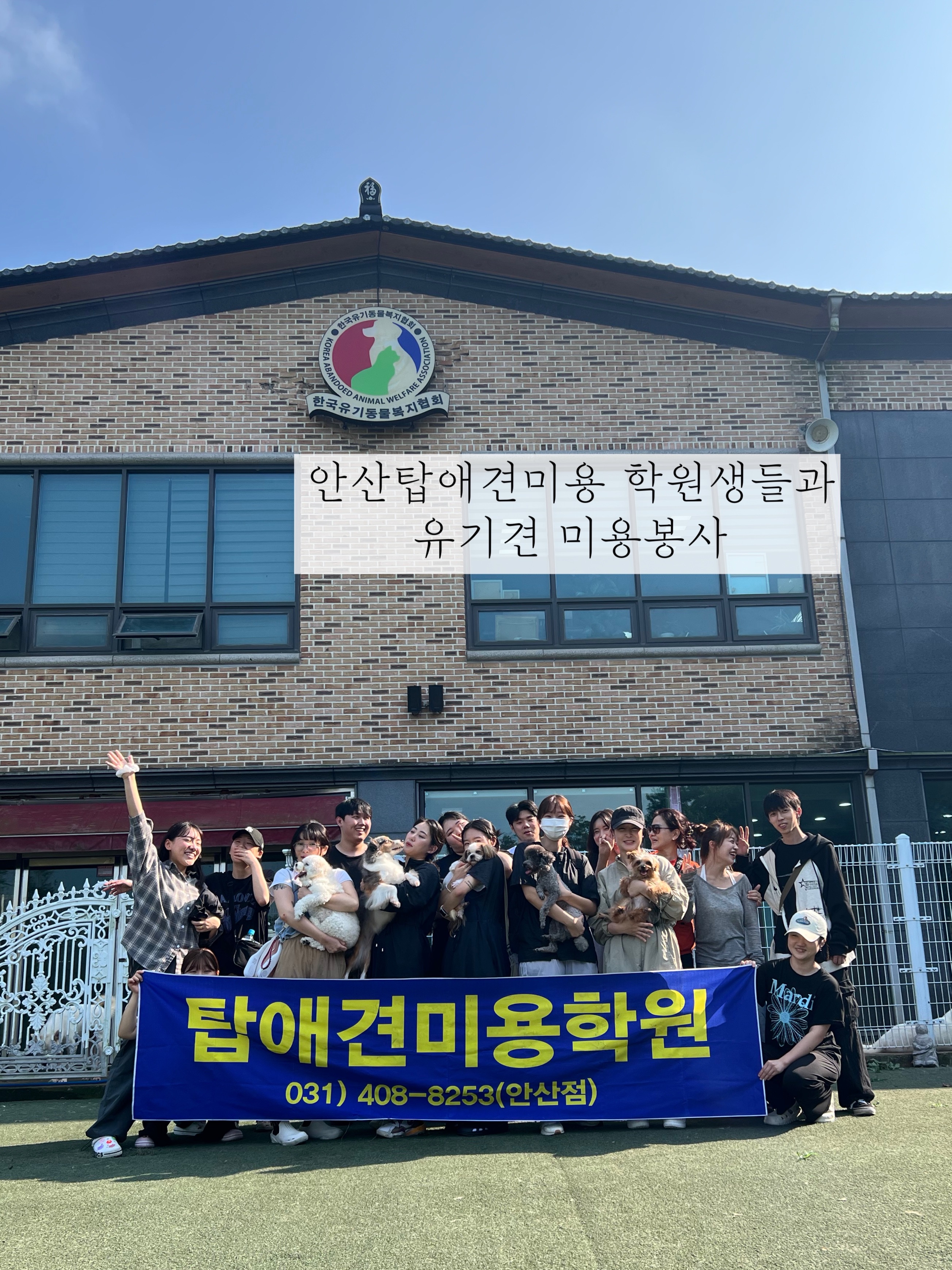 탑애견미용학원 안산점