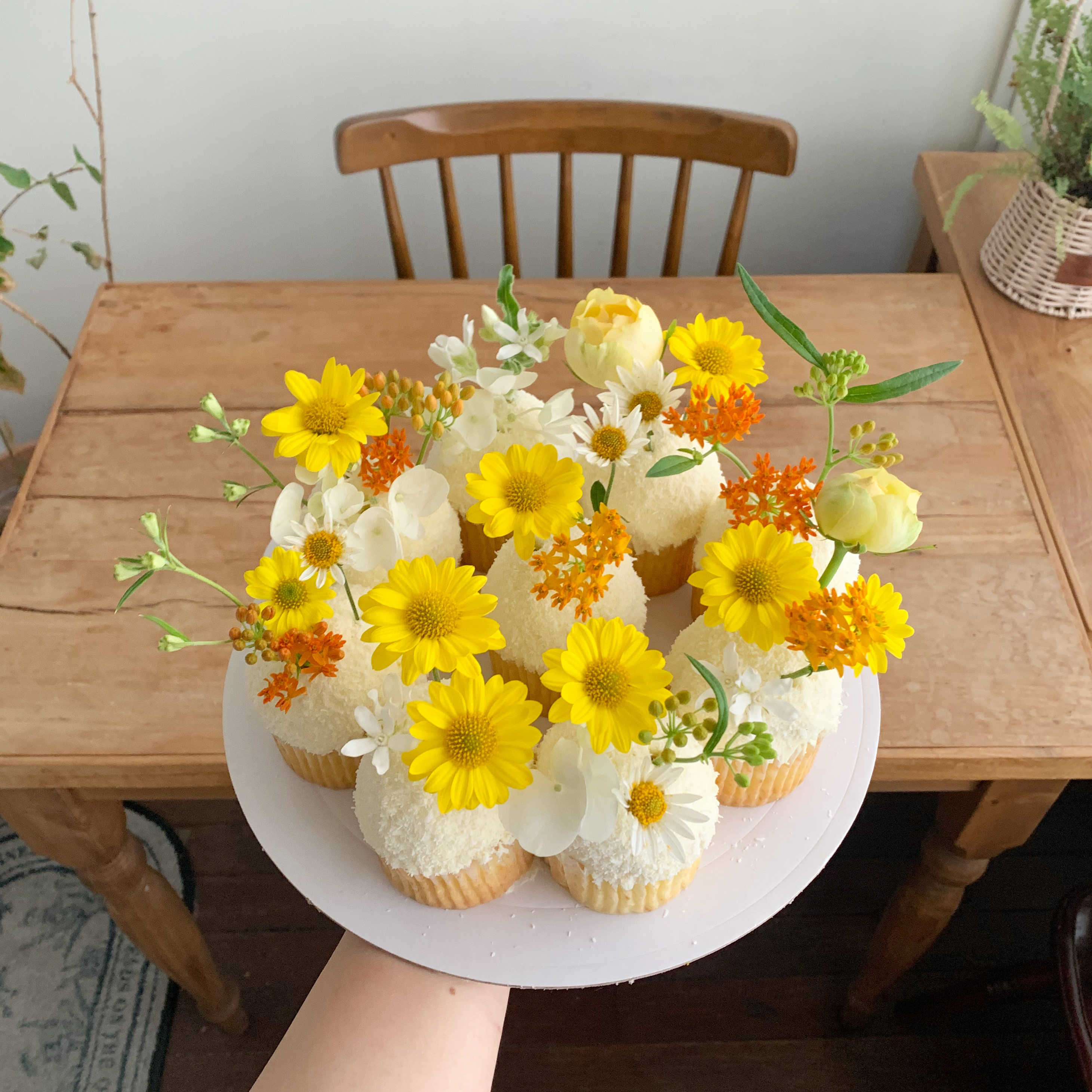 제뉴어리피크닉 대표 이미지