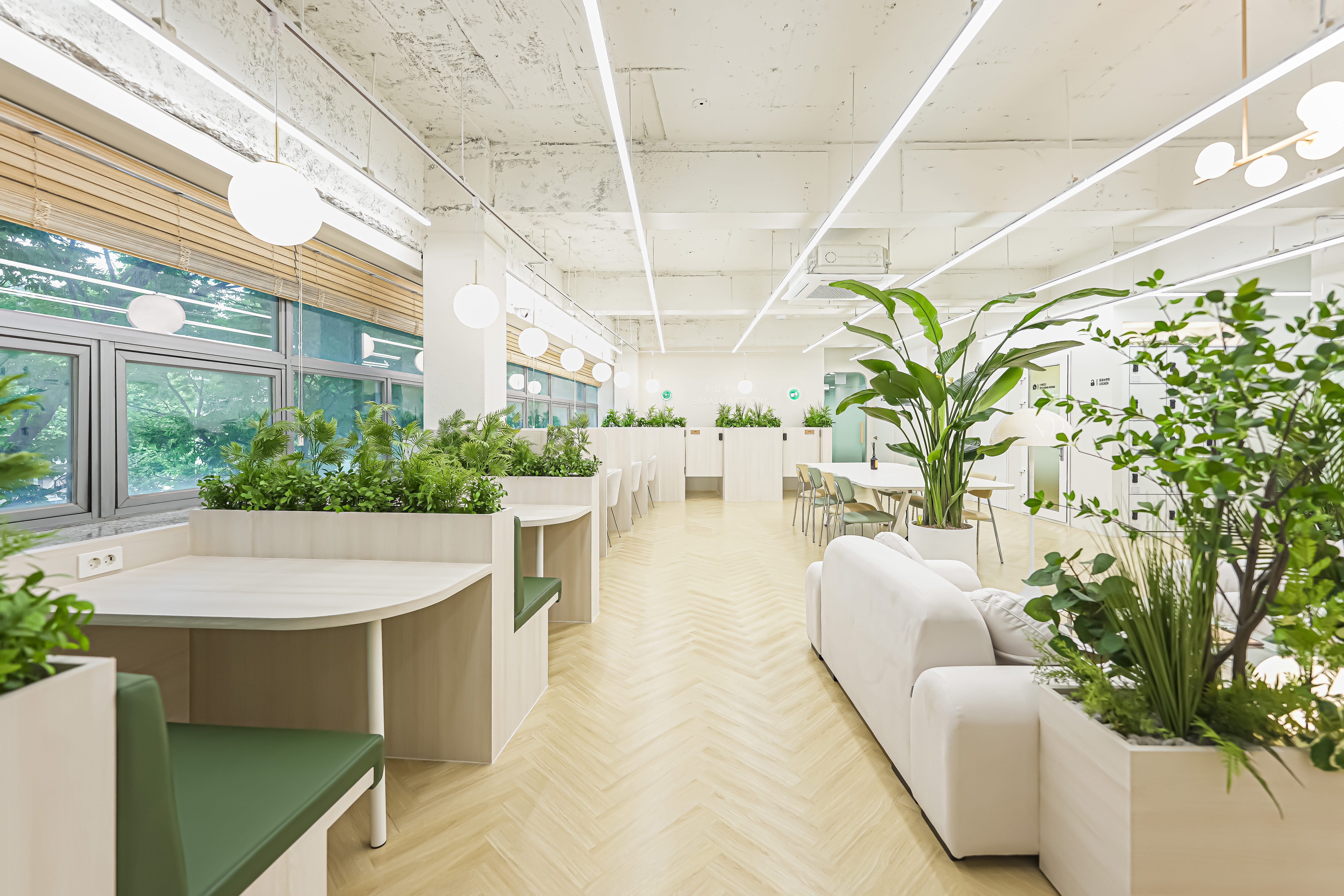 강남도곡 비상주 소호사무실 드림캐쳐 대표 이미지