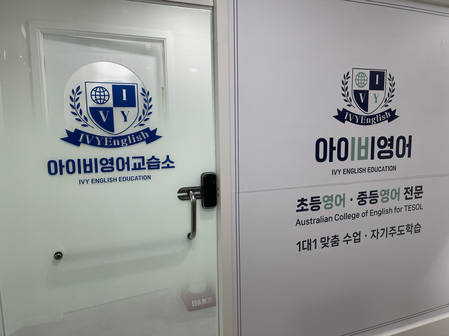 아이비영어
