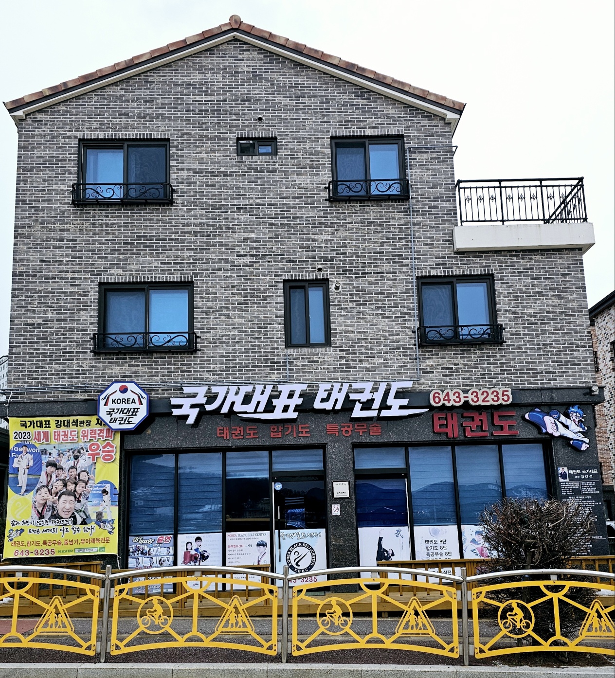 국가대표태권도
