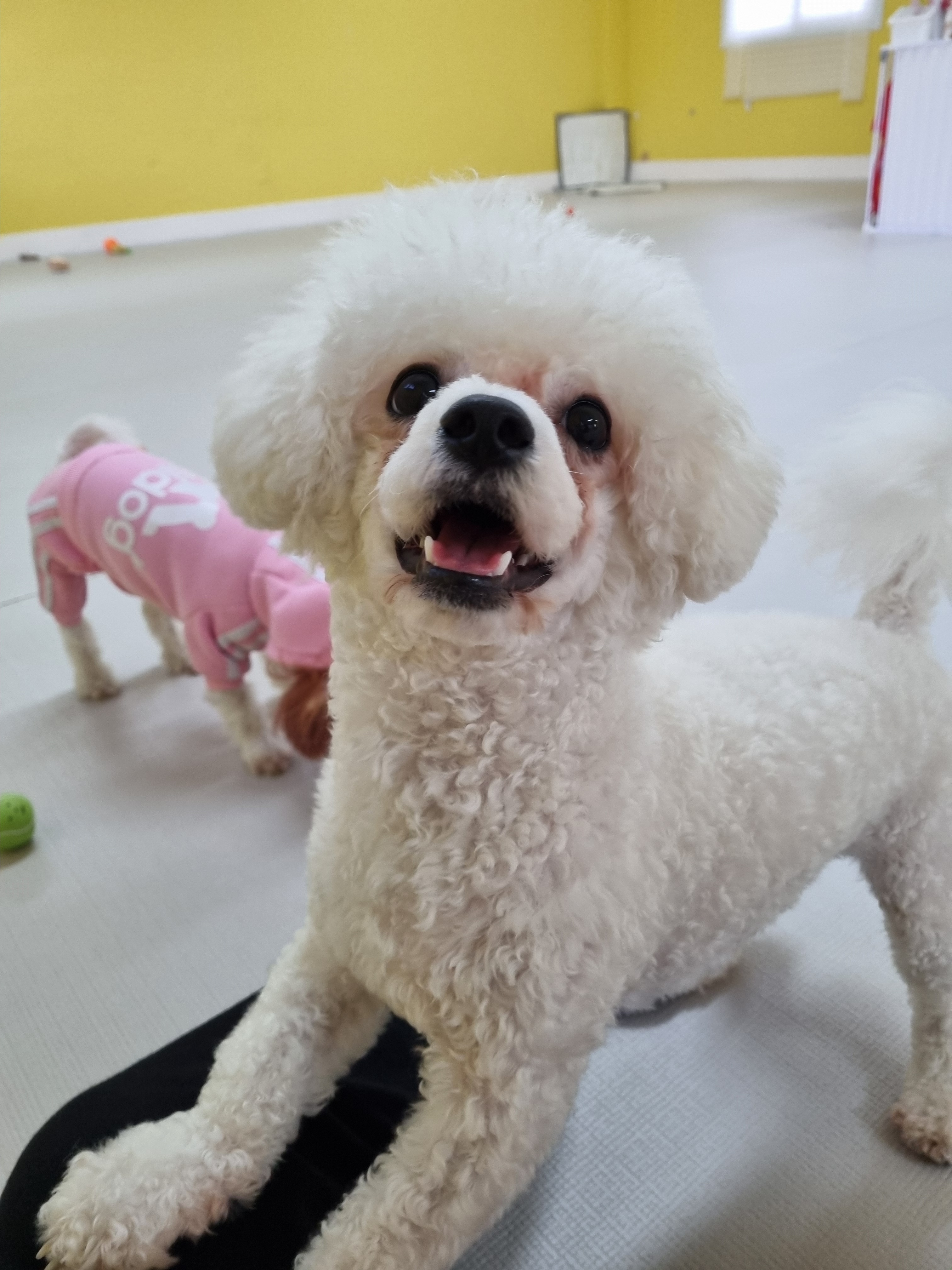 놀멍쉬멍 대표 이미지
