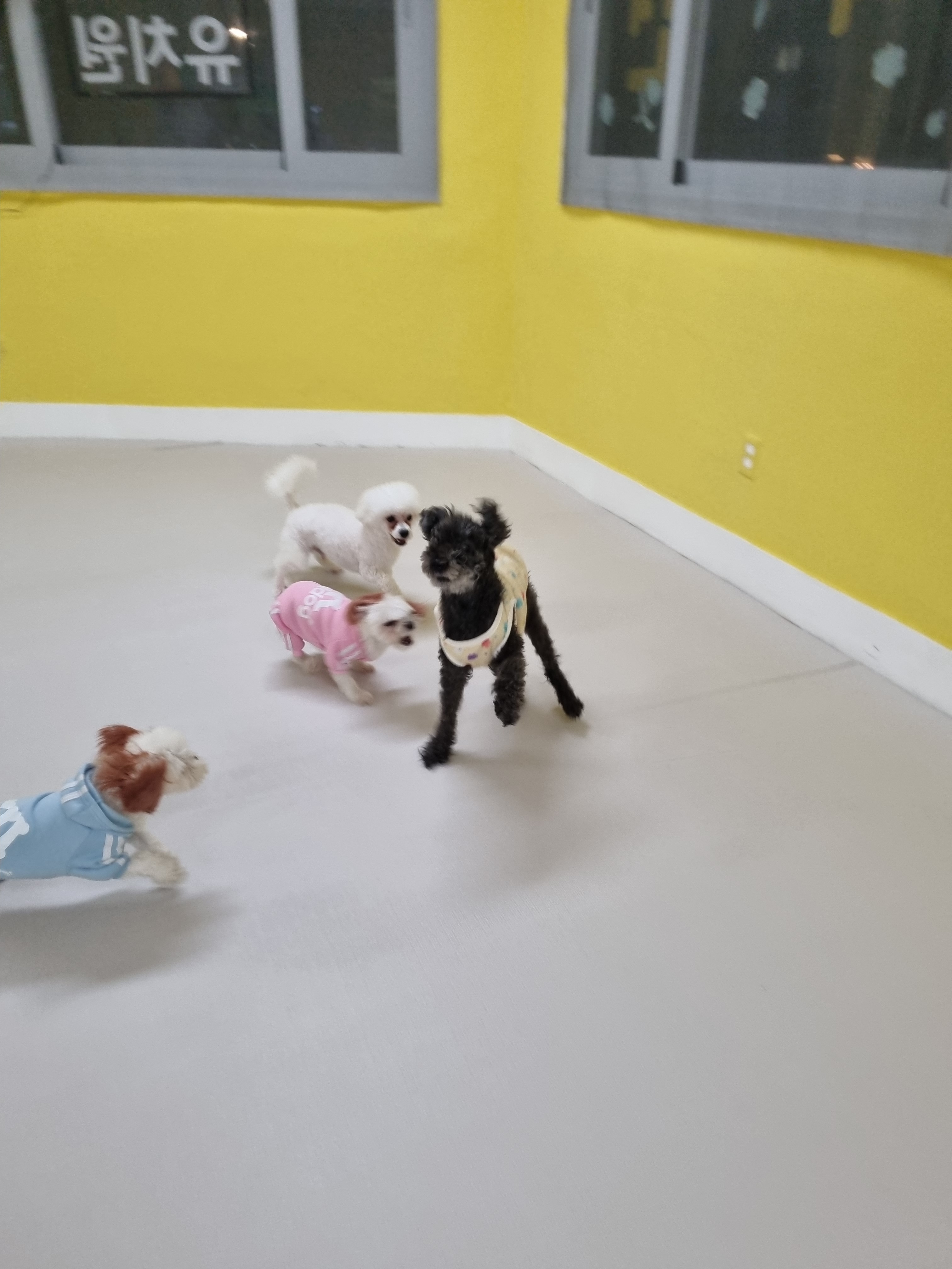 놀멍쉬멍 대표 이미지