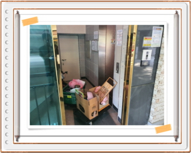 천안포장이사 대표 이미지