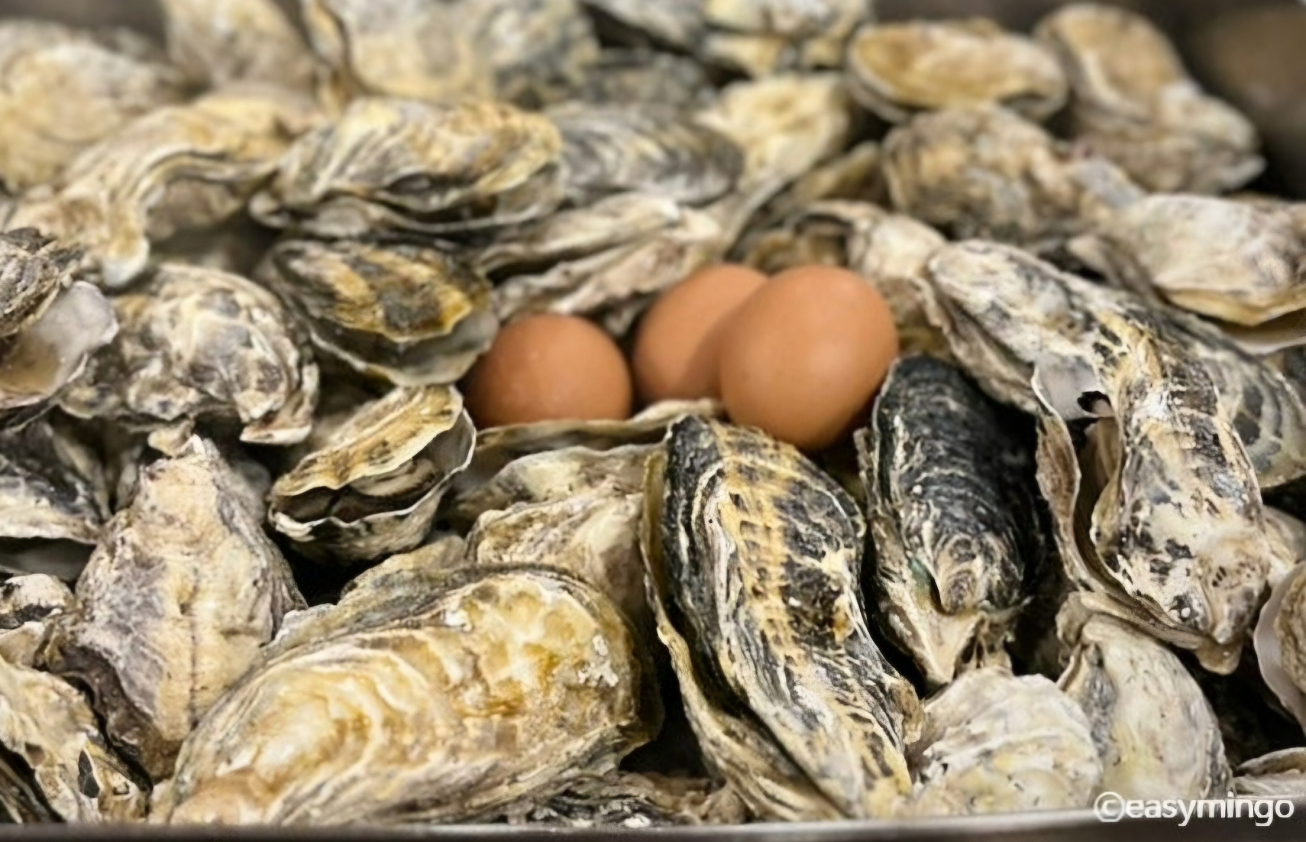 통굴통굴 시흥본점