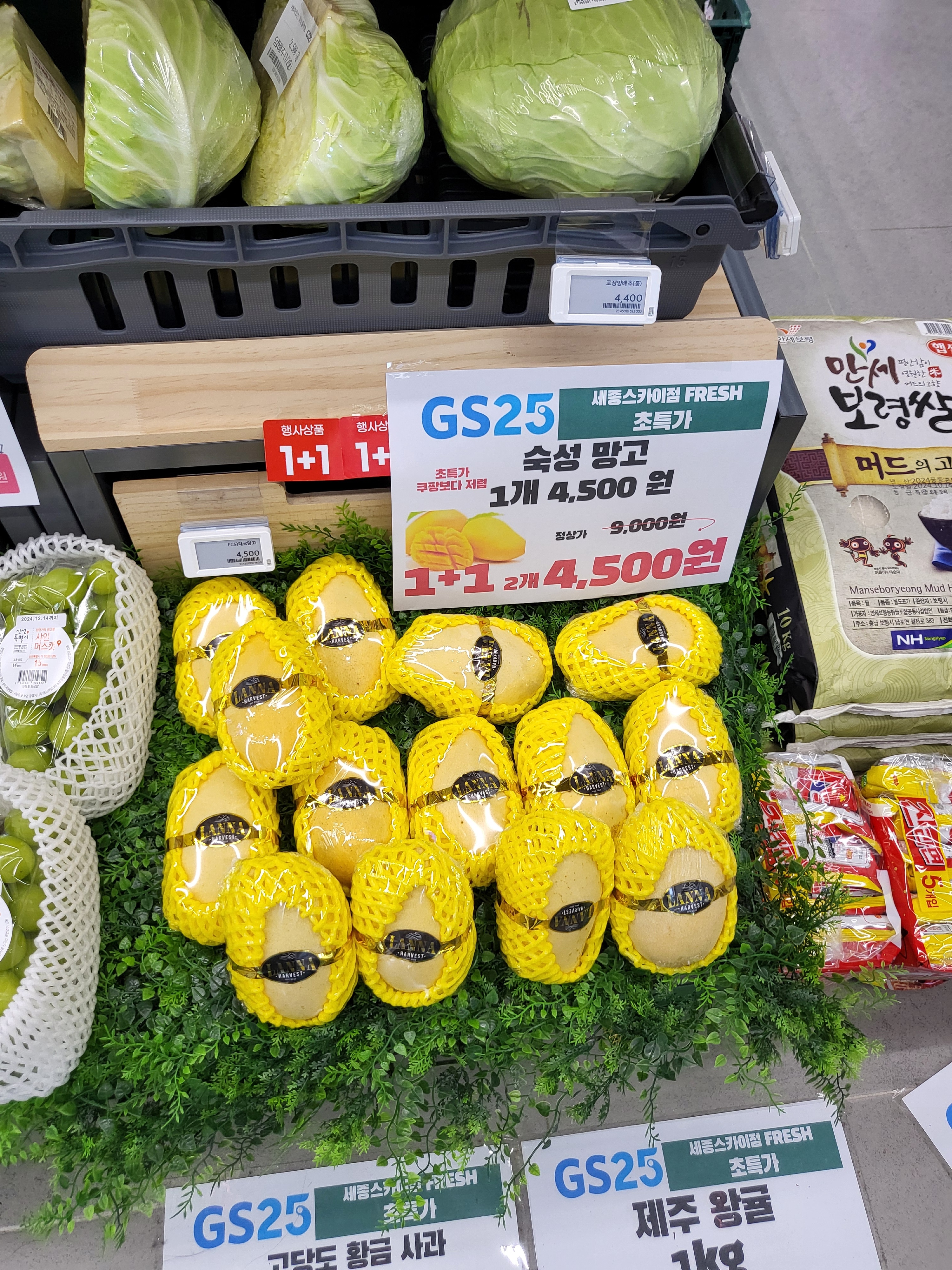 GS25 세종스카이점