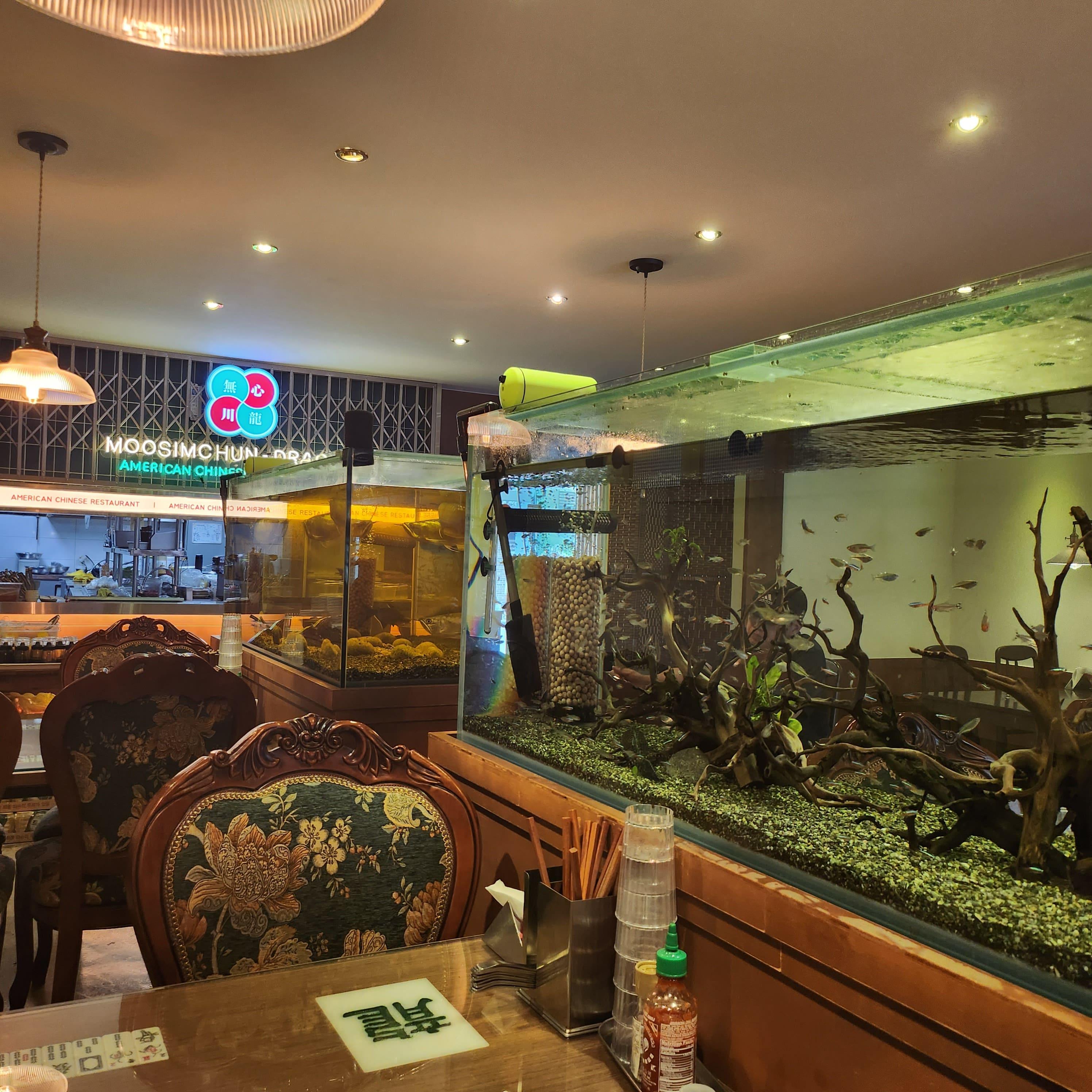 무심천드래곤 참고 이미지 1