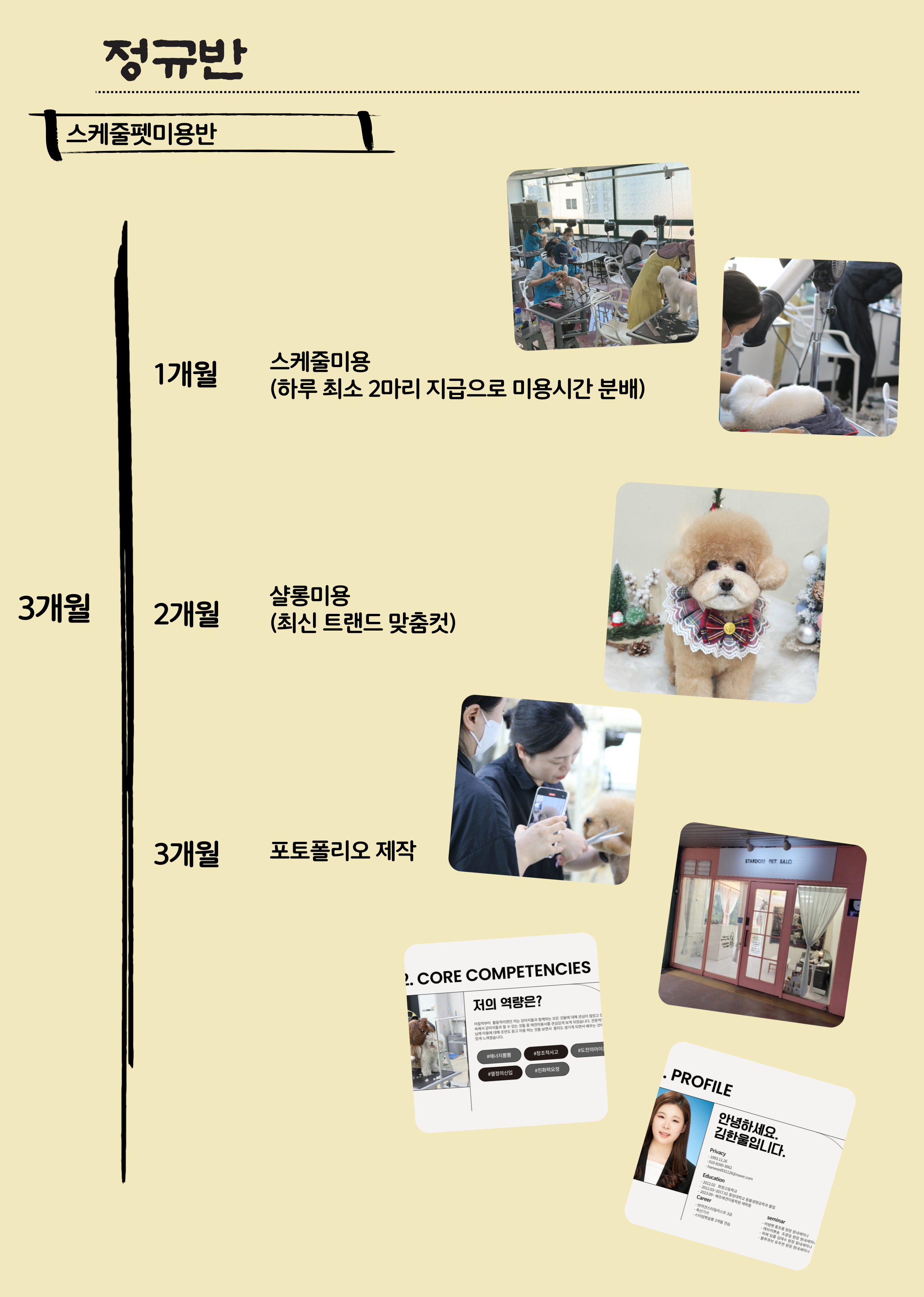 베프애견미용학원 일산점