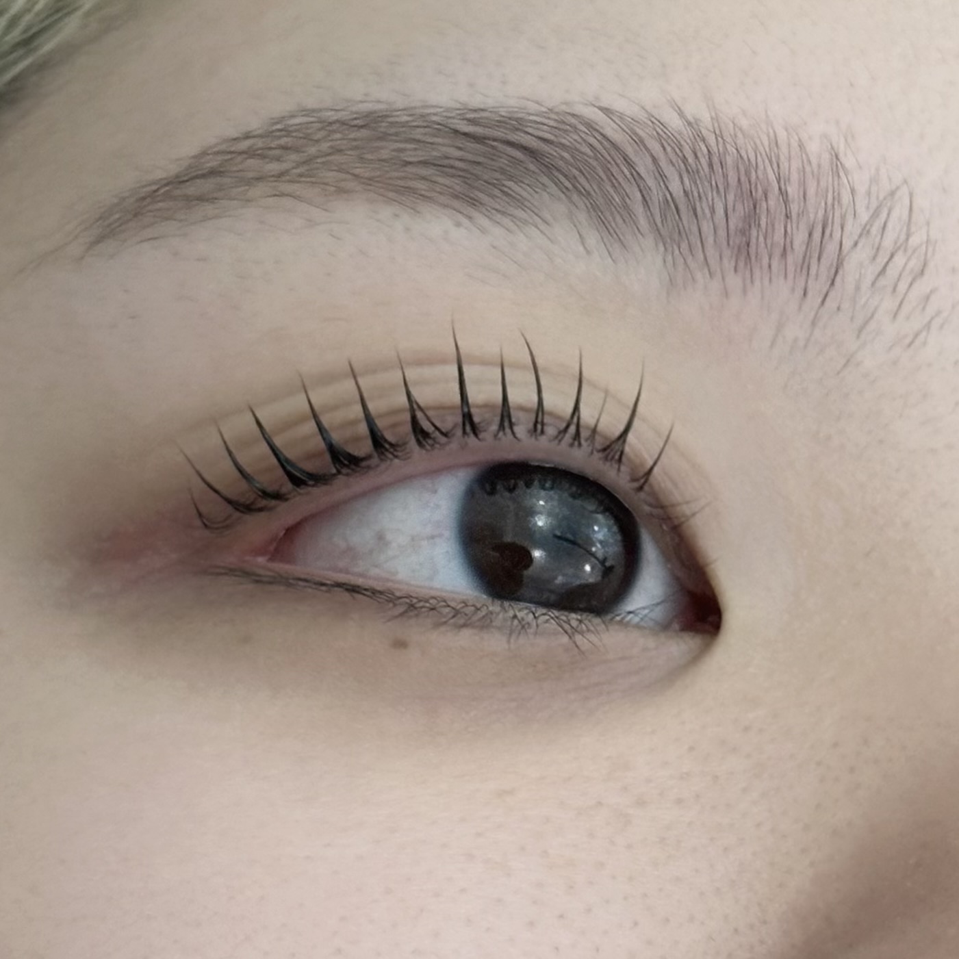 단하나 photo 4