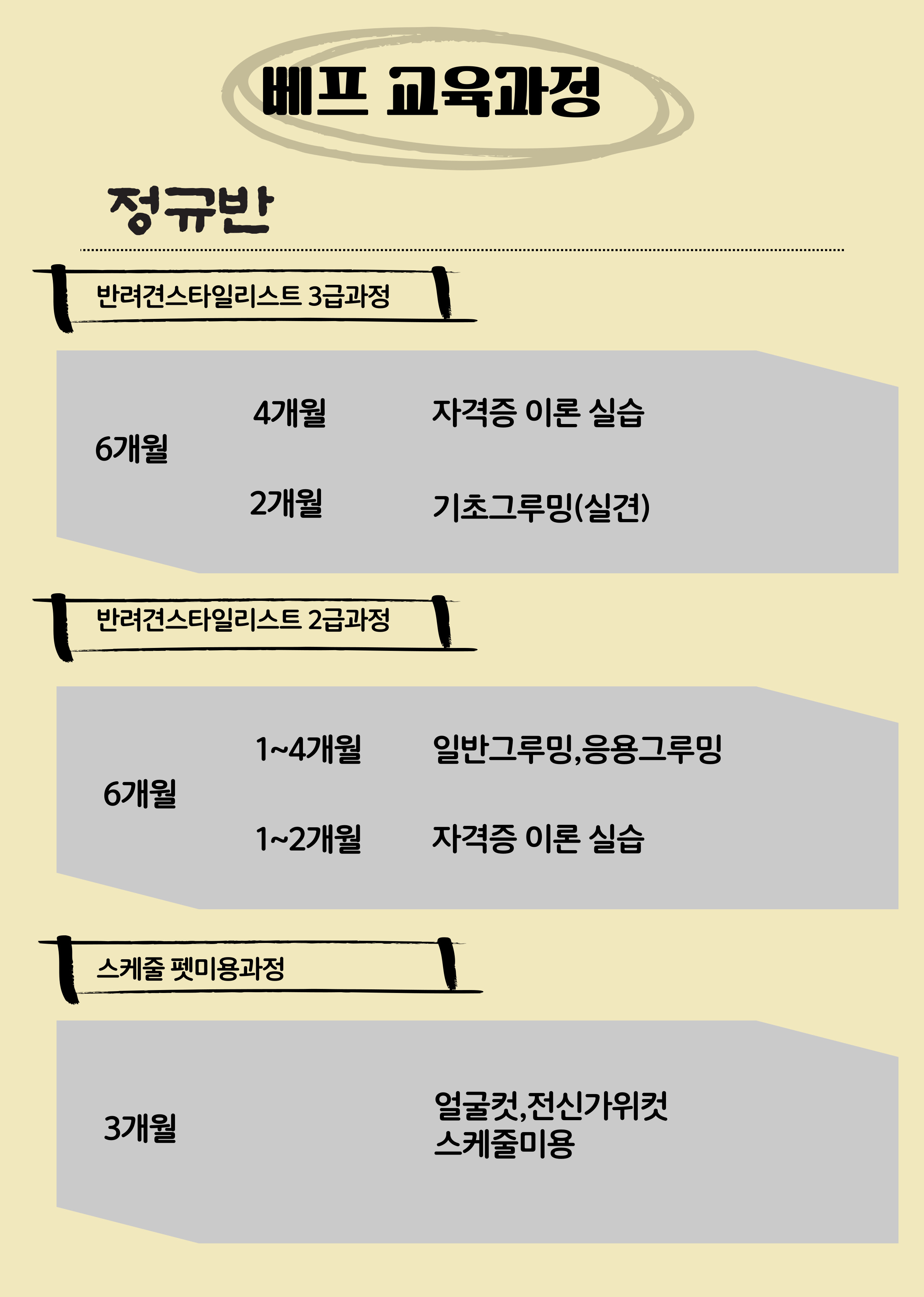 베프애견미용학원 일산점