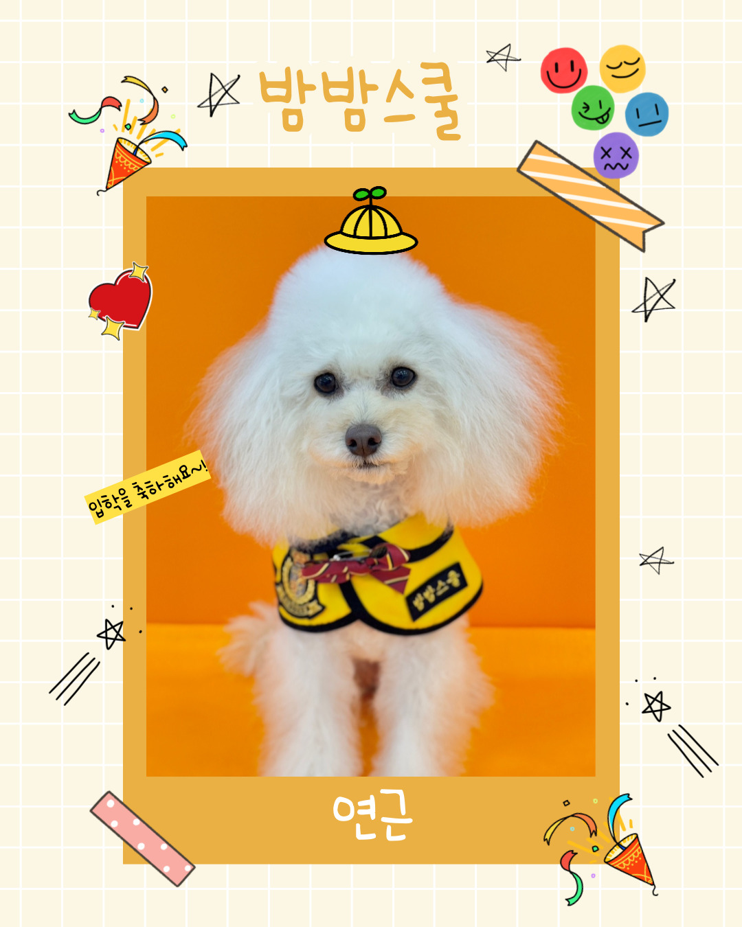 밤밤애견유치원&호텔링 대표 이미지